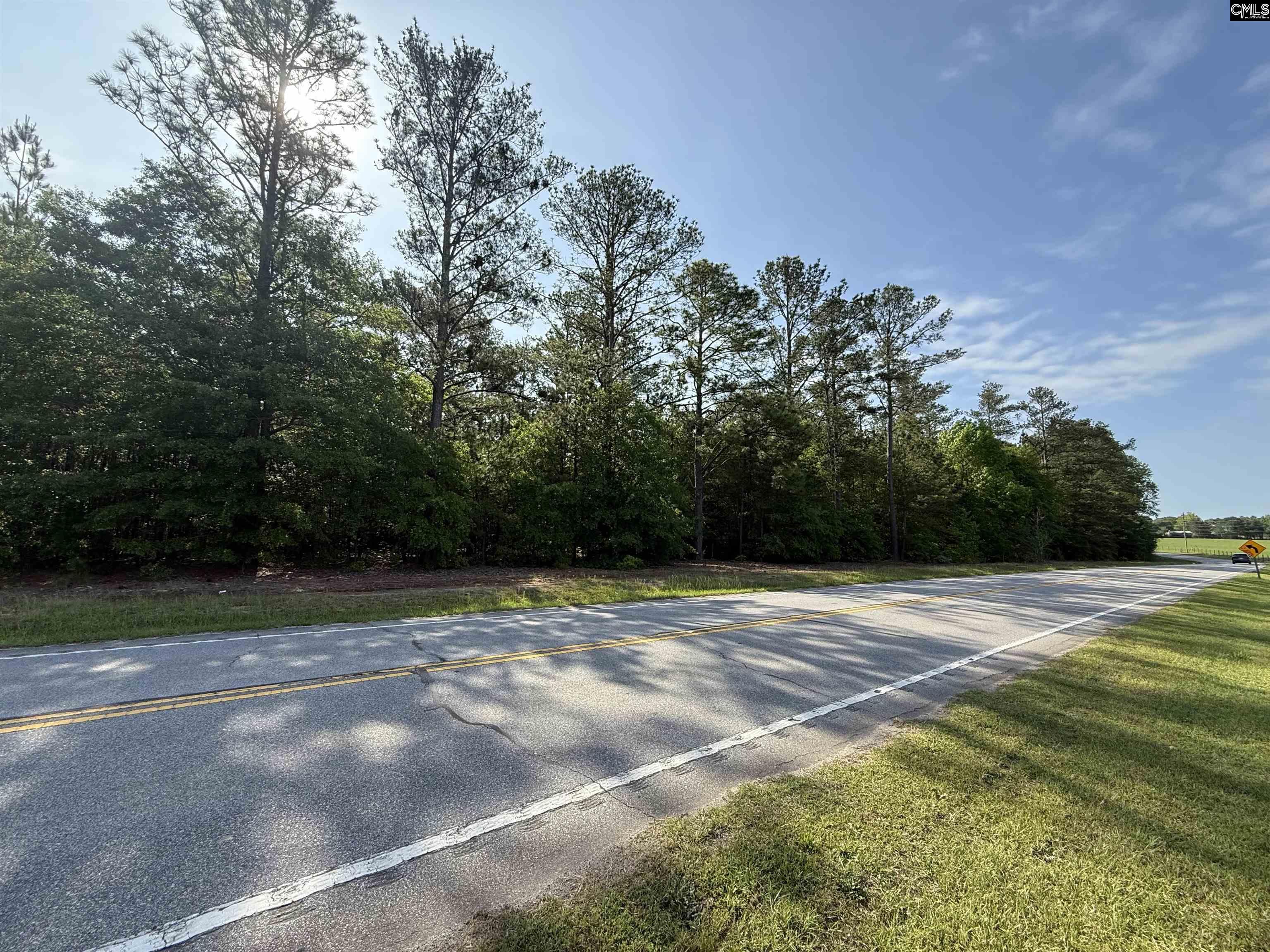TBD Calks Ferry Road Lexington, SC 29072