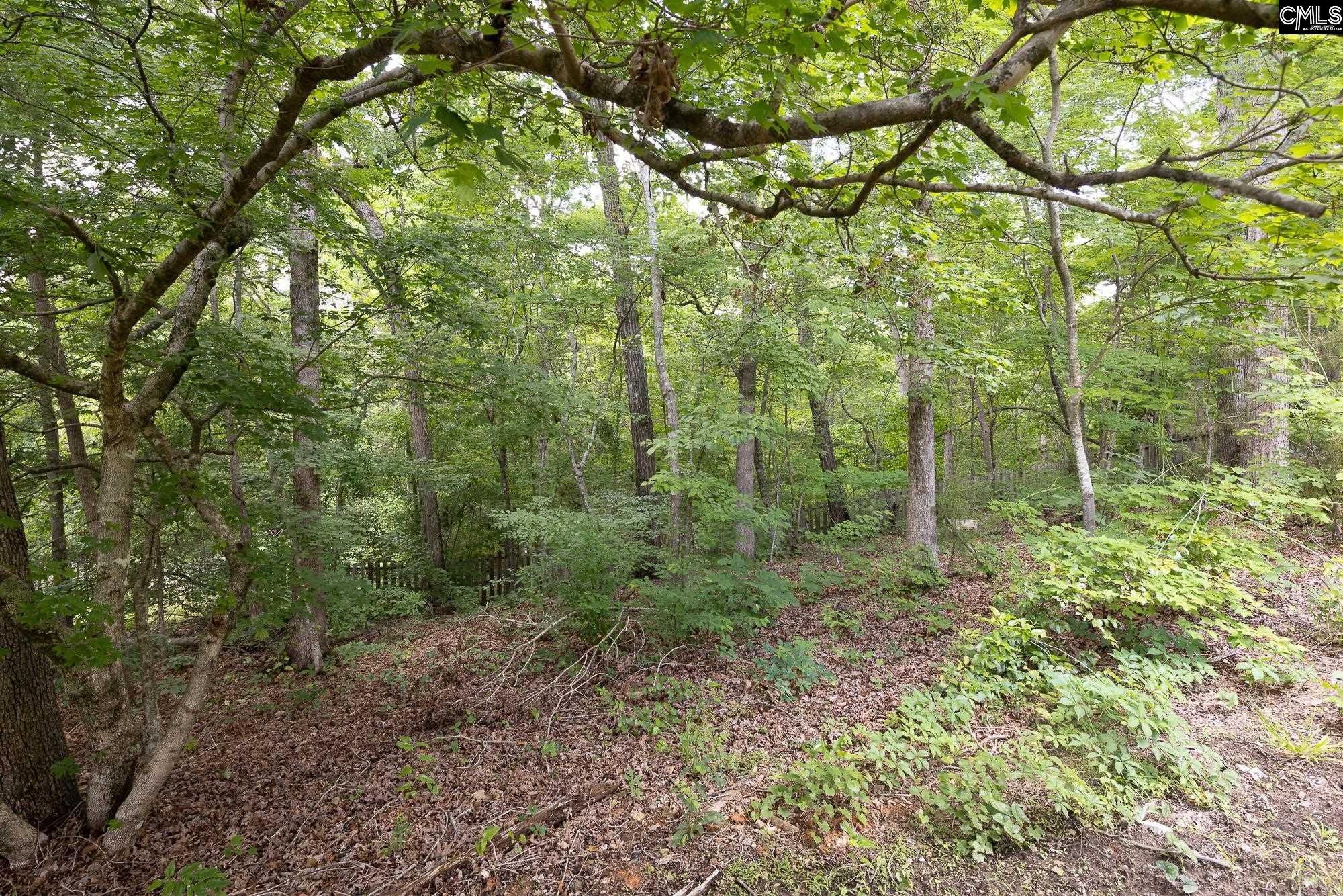 208 Kings Creek Road, Irmo, South Carolina image 34
