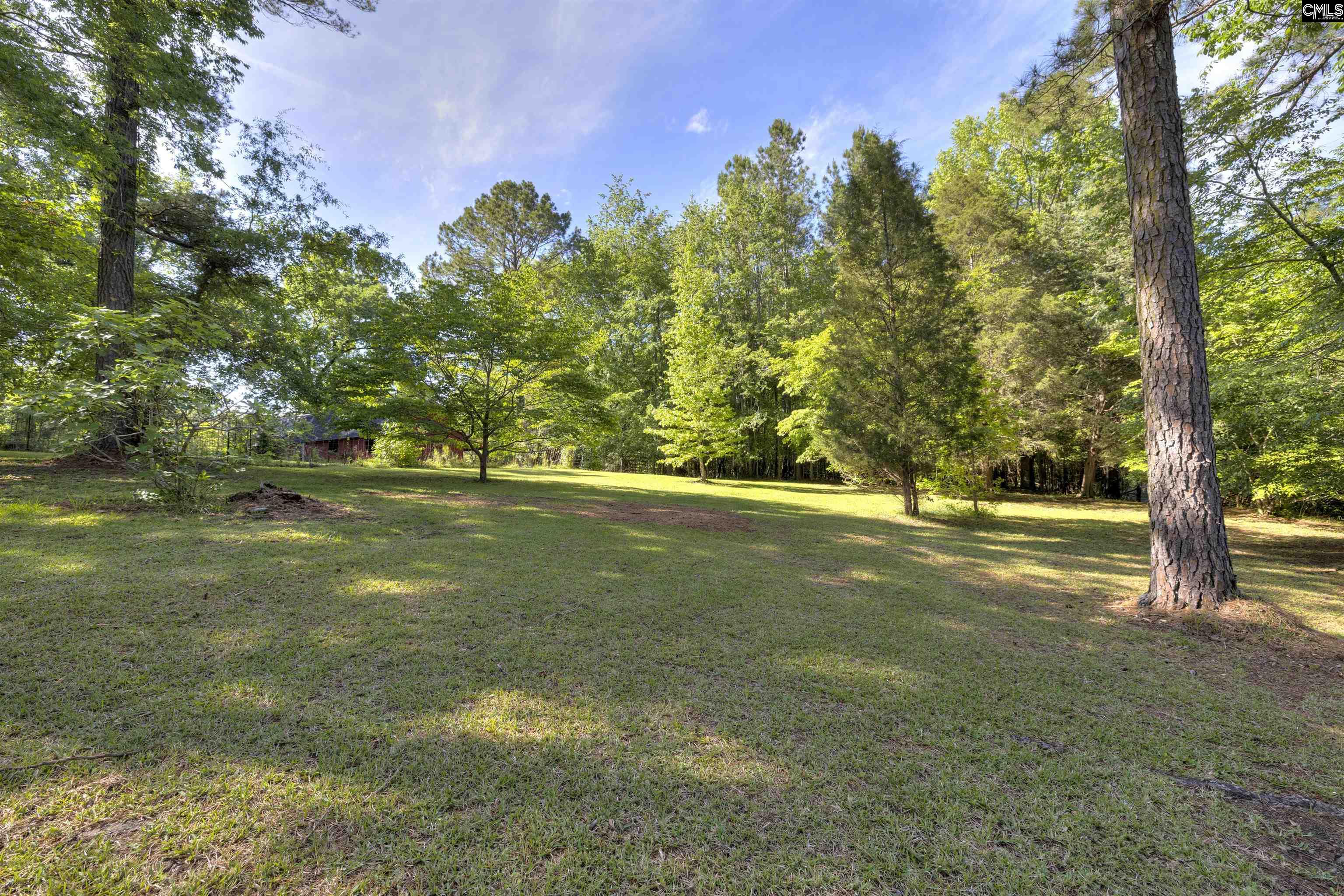 9023 Us Highway 321, Blythewood, South Carolina image 16