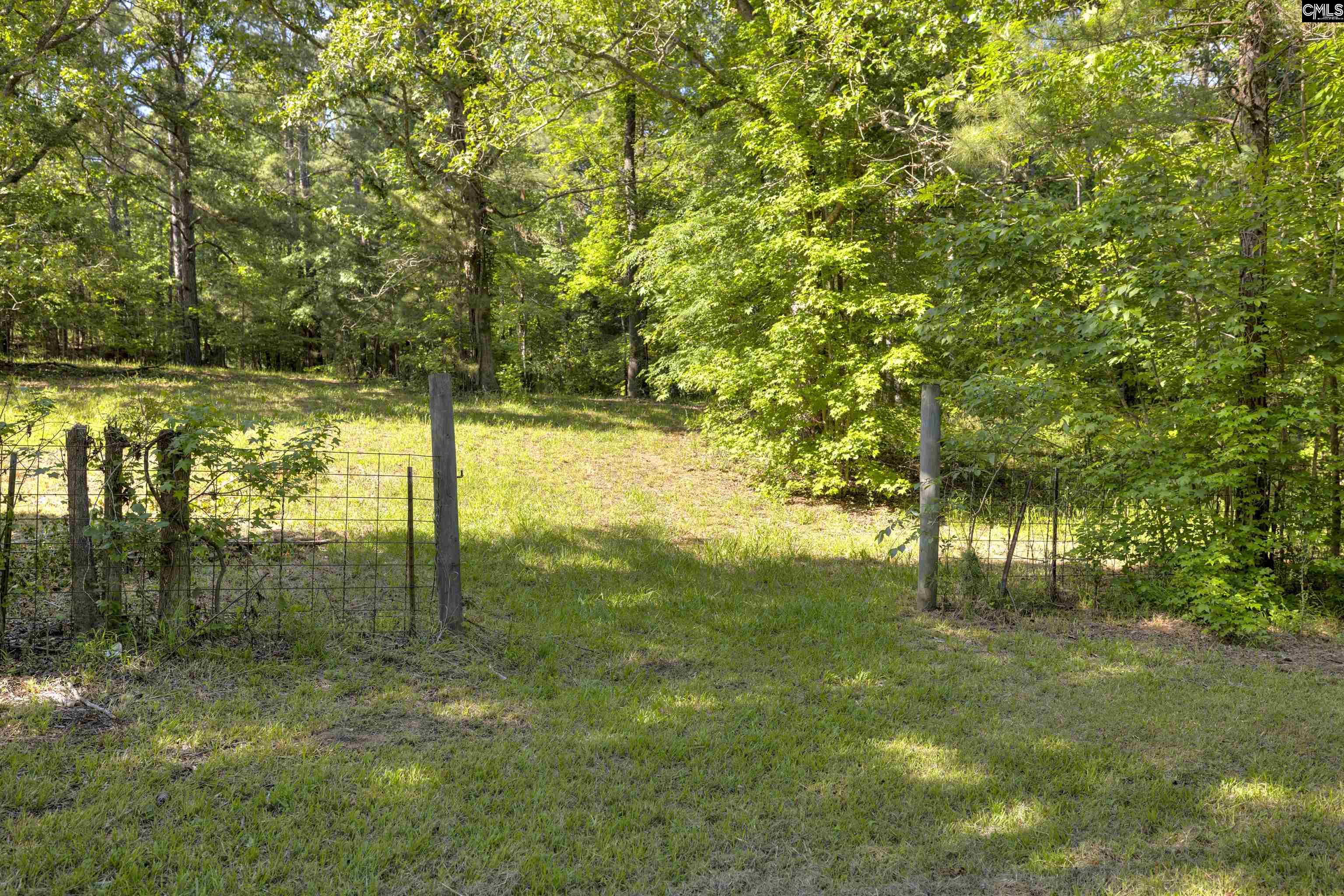 9023 Us Highway 321, Blythewood, South Carolina image 23