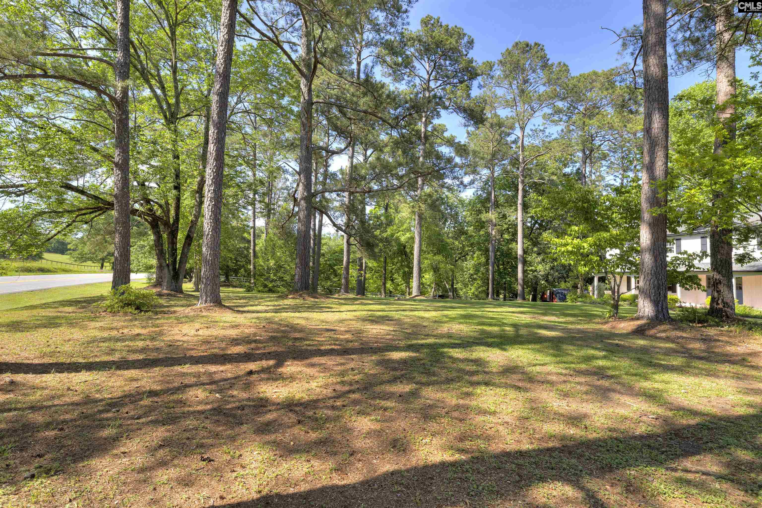 9023 Us Highway 321, Blythewood, South Carolina image 25