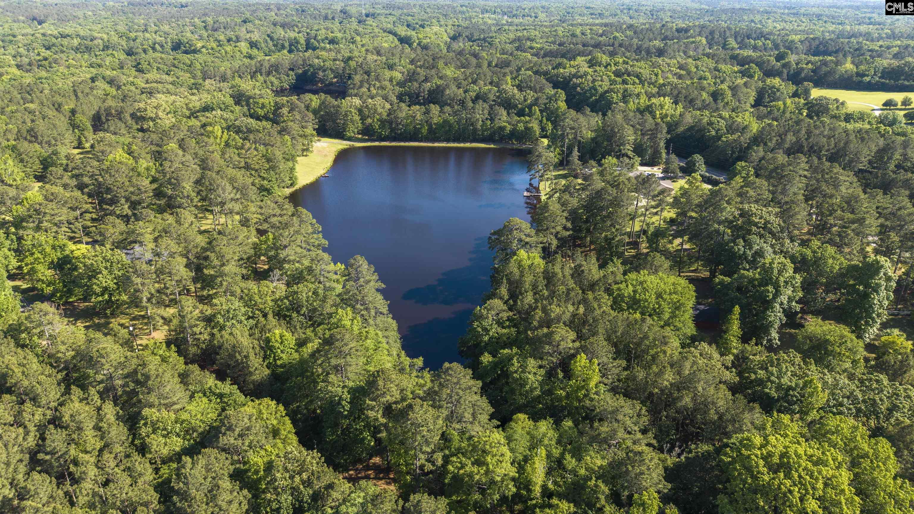 9023 Us Highway 321, Blythewood, South Carolina image 34
