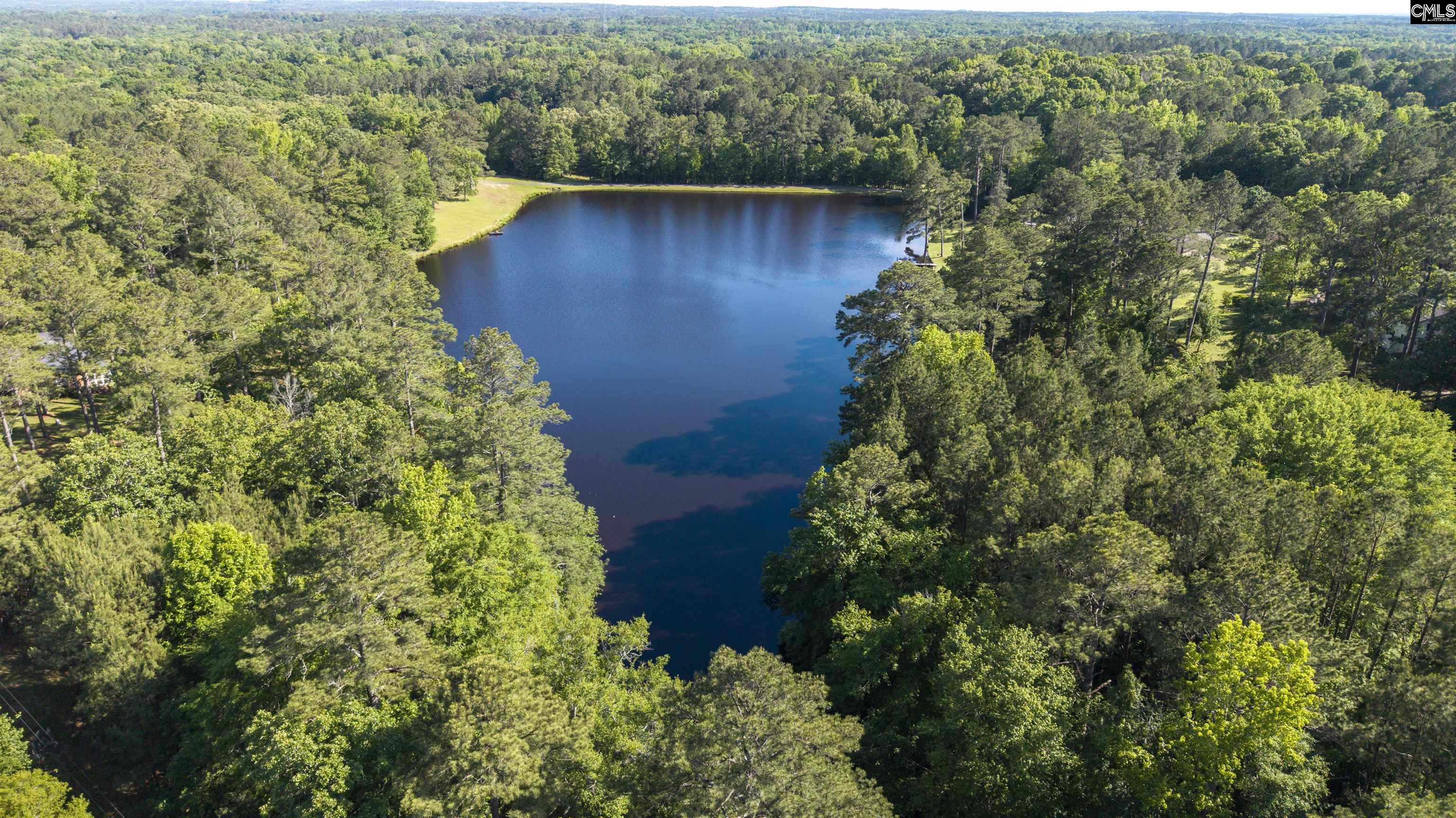 9023 Us Highway 321, Blythewood, South Carolina image 35
