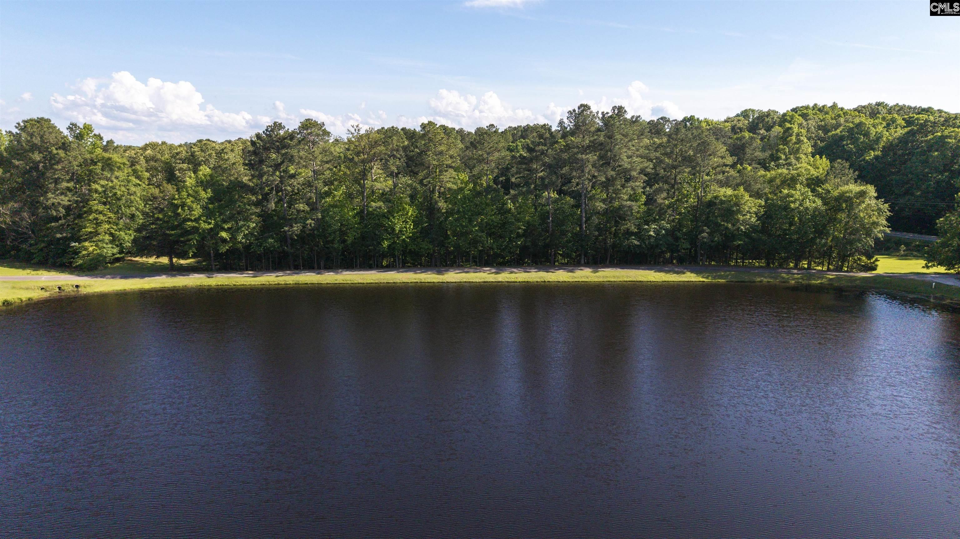 9023 Us Highway 321, Blythewood, South Carolina image 37