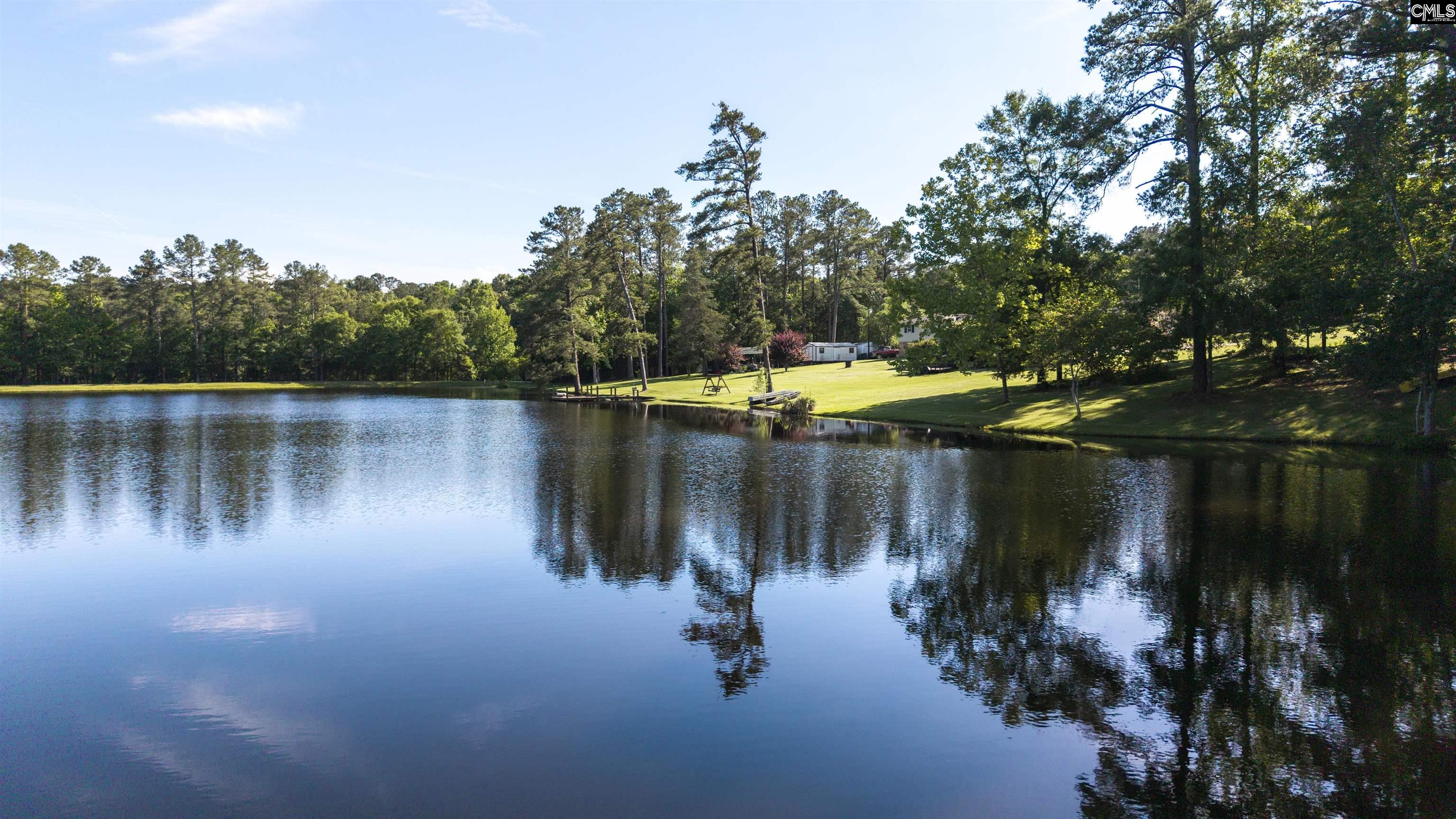 9023 Us Highway 321, Blythewood, South Carolina image 39