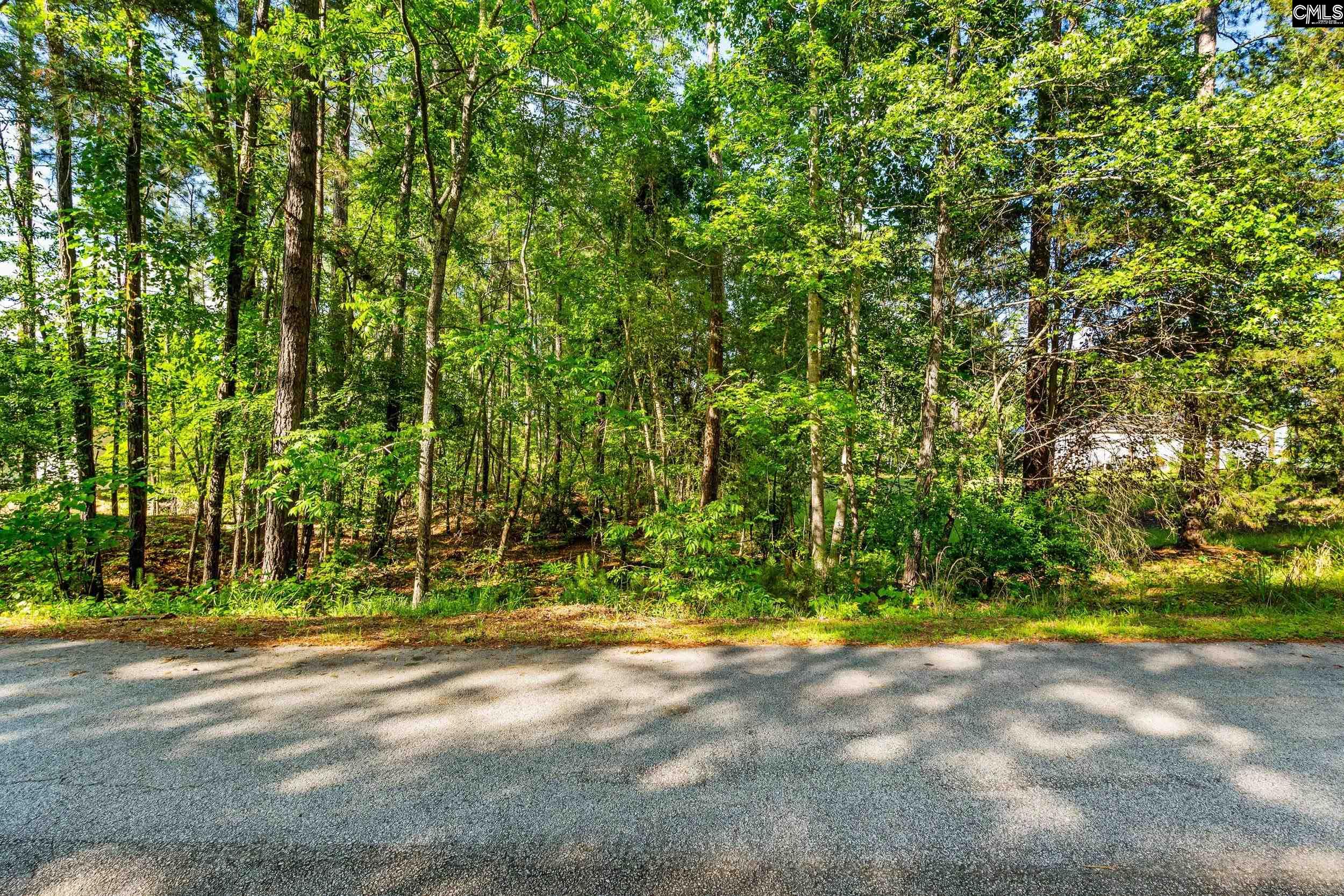 Cherry Circle, Prosperity, South Carolina image 18
