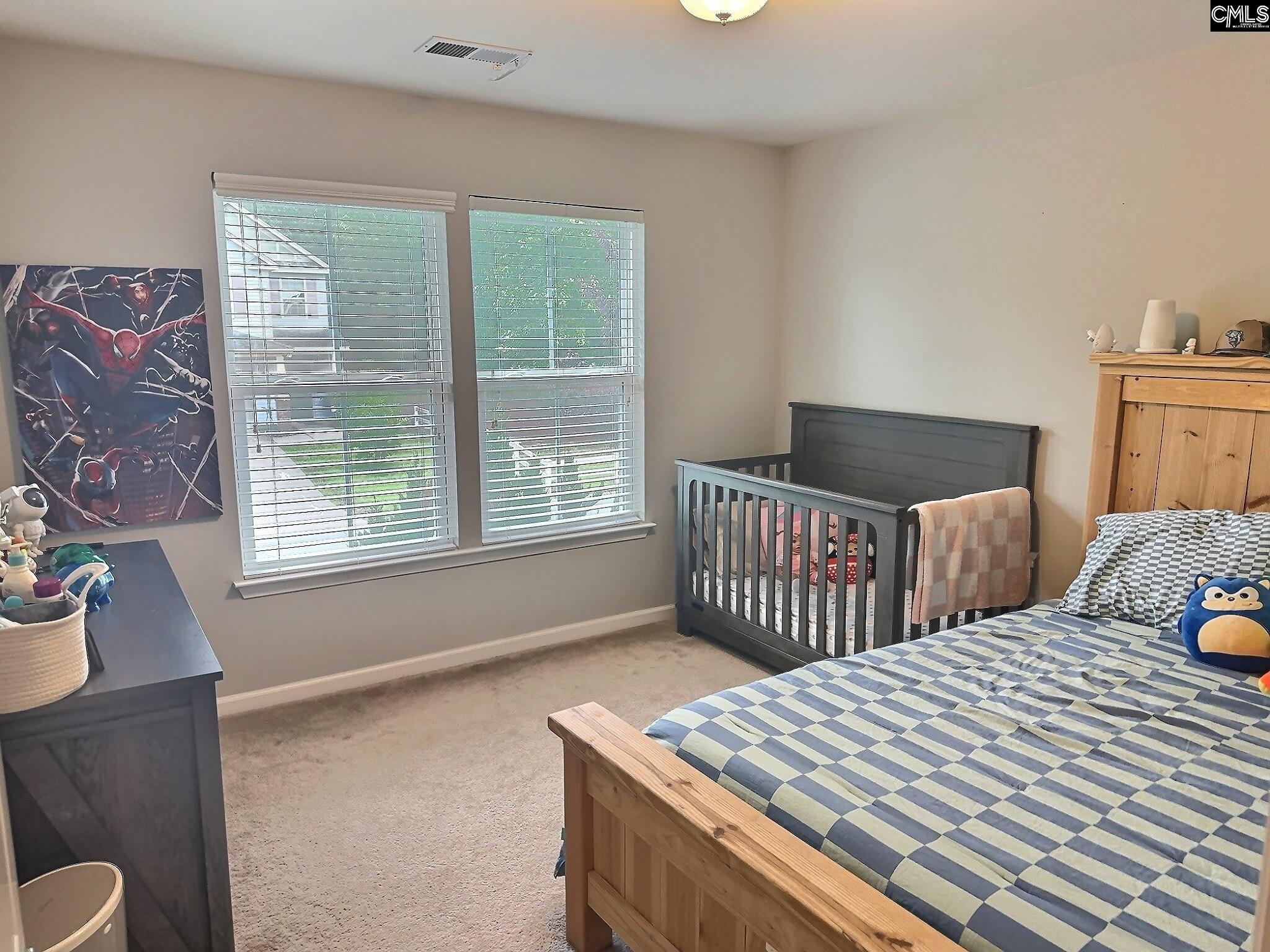 207 Chesterbrook Lane, Lexington, South Carolina image 12