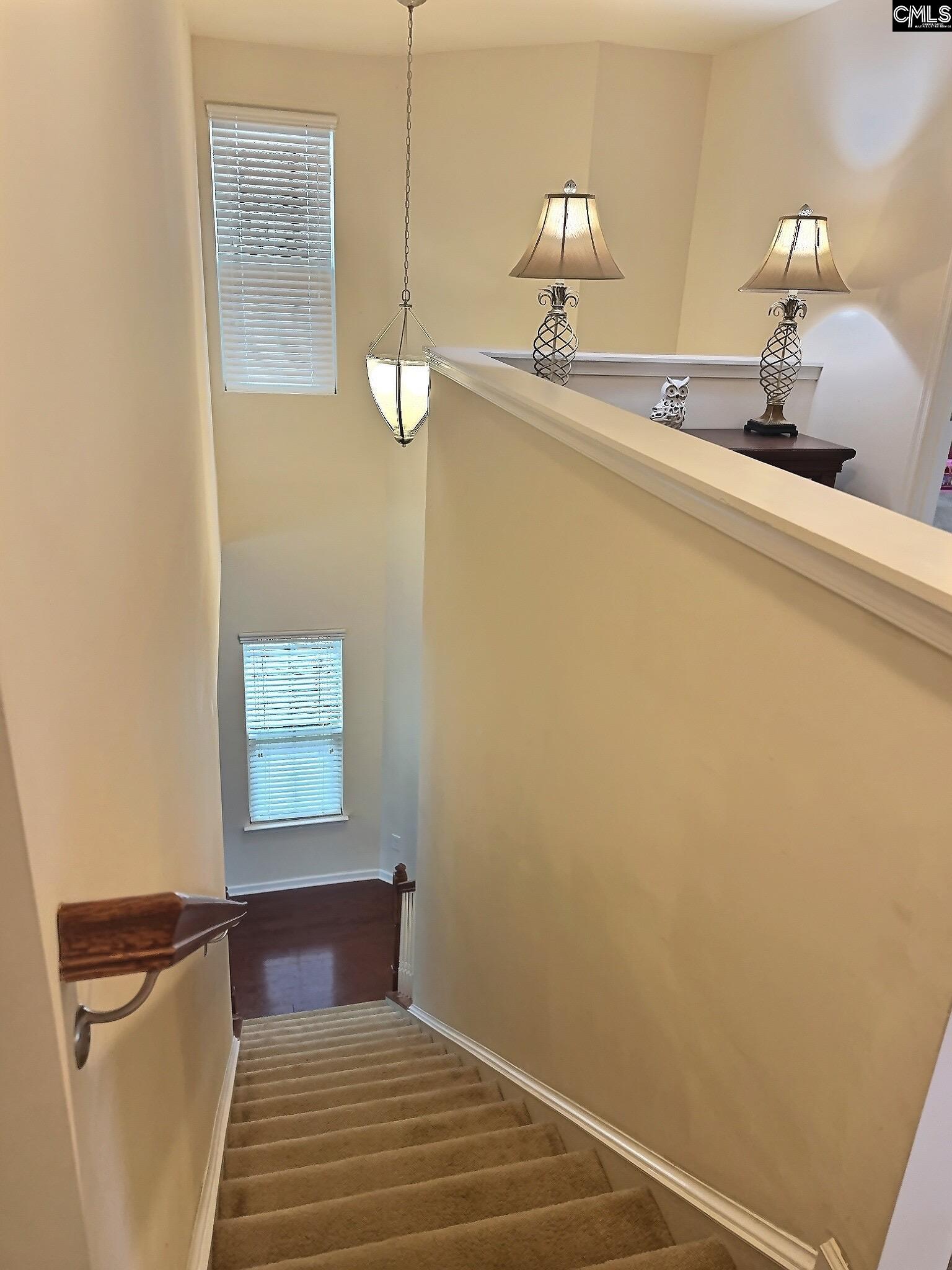 207 Chesterbrook Lane, Lexington, South Carolina image 8