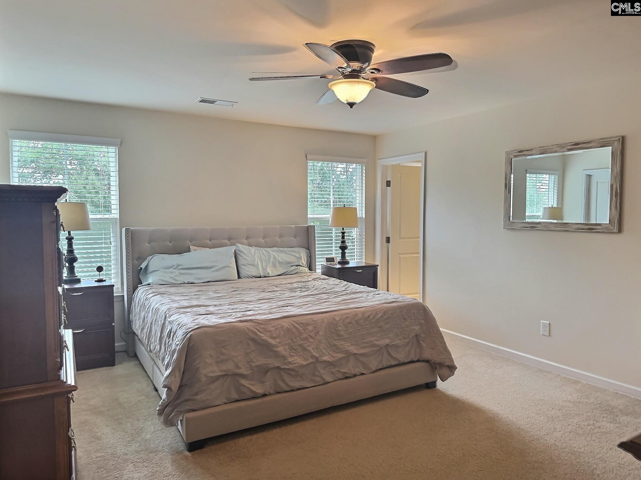 207 Chesterbrook Lane, Lexington, South Carolina image 10
