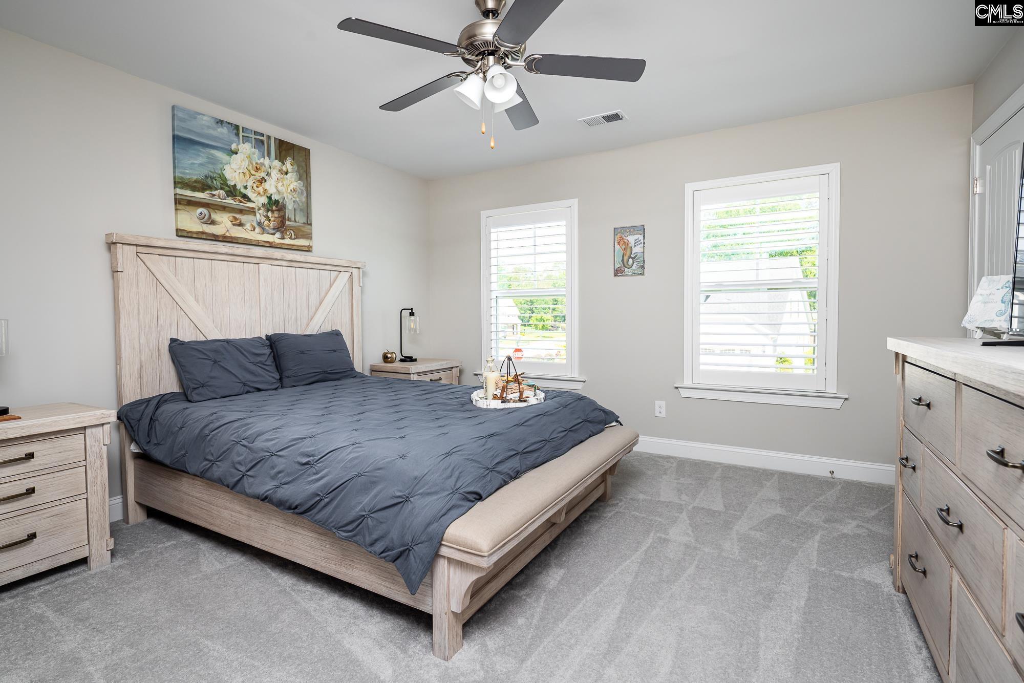 308 Brenthaven Road, Chapin, South Carolina image 25