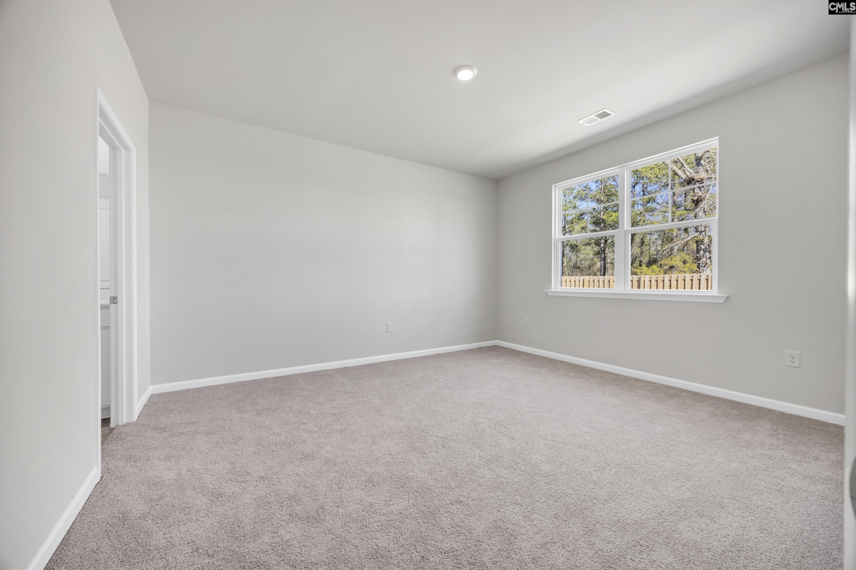 344 Babcock Way, Gilbert, South Carolina image 15