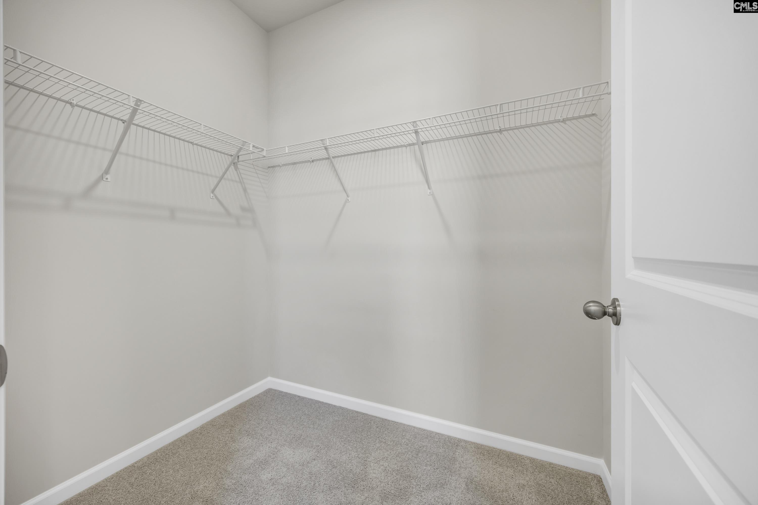 344 Babcock Way, Gilbert, South Carolina image 21