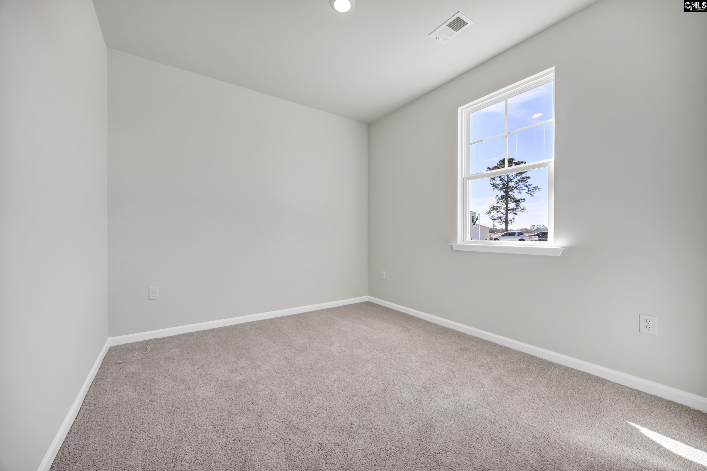 344 Babcock Way, Gilbert, South Carolina image 22