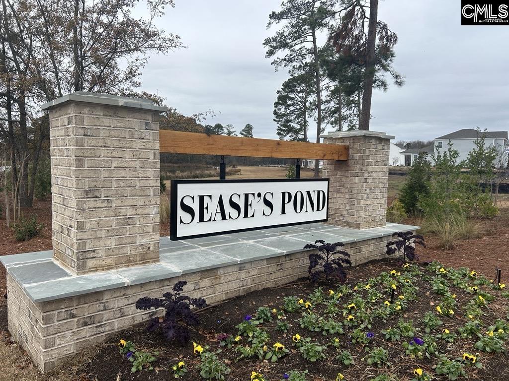 344 Babcock Way, Gilbert, South Carolina image 28