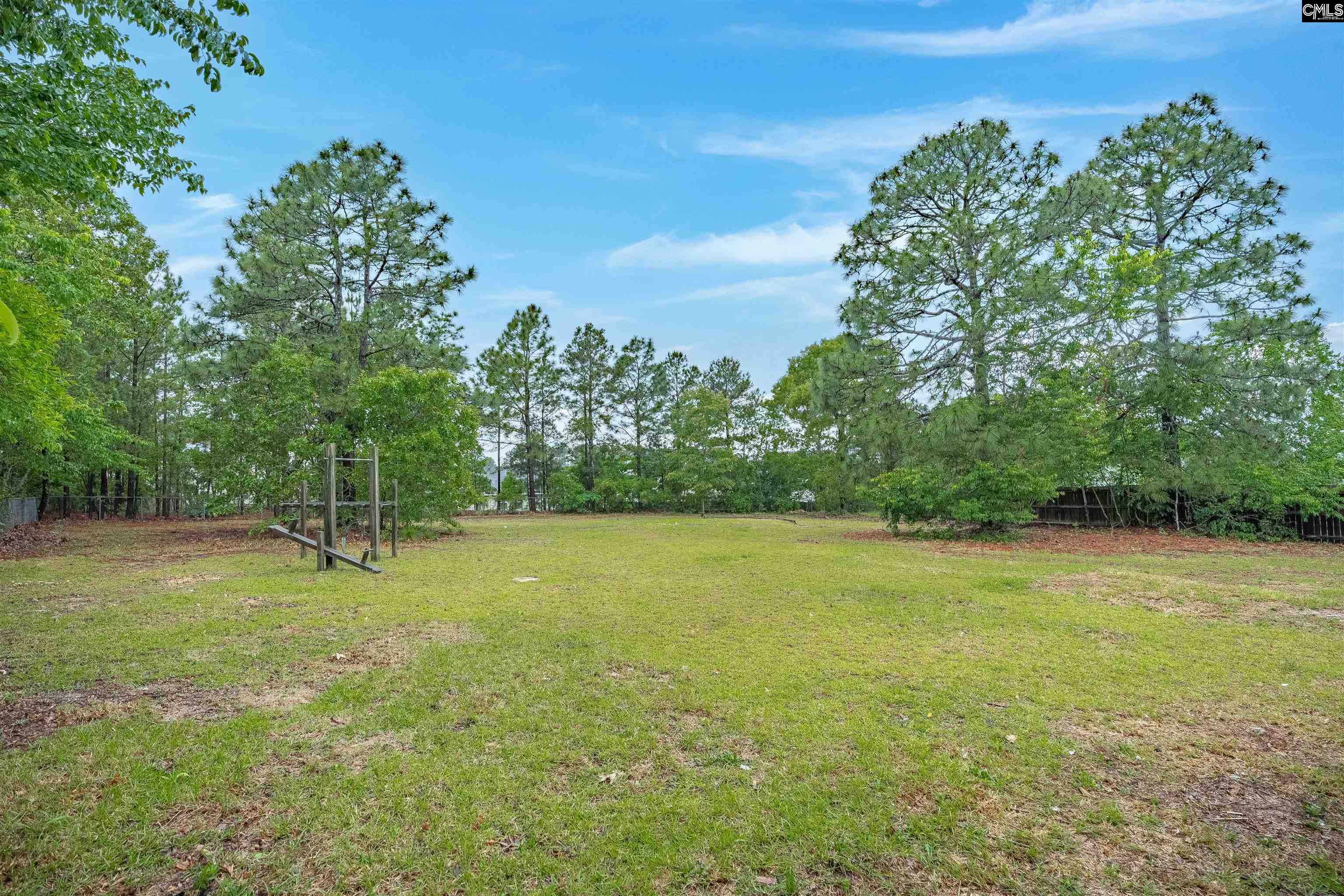 315 Echo Court, Lexington, South Carolina image 29