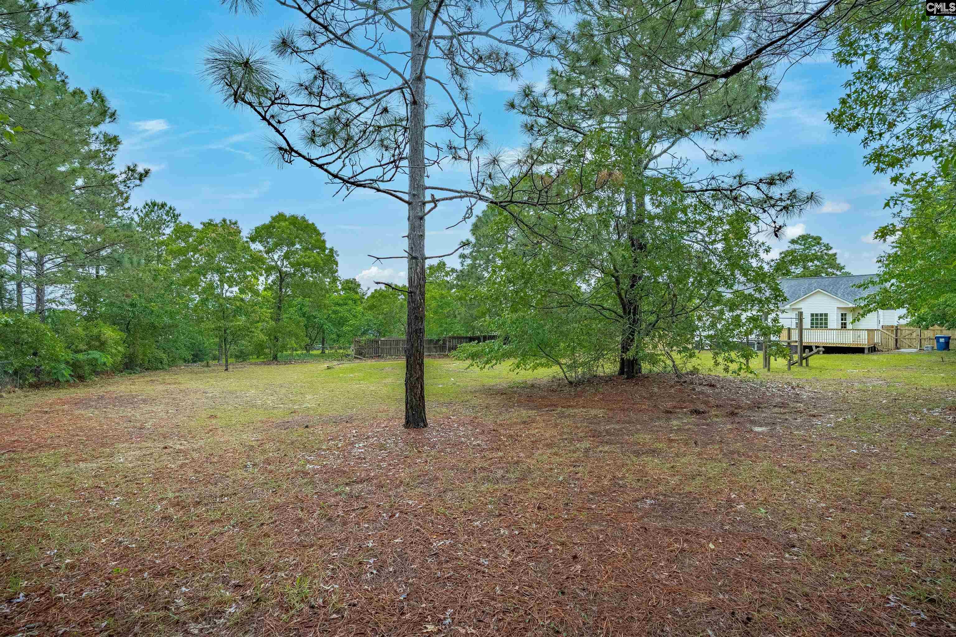 315 Echo Court, Lexington, South Carolina image 34