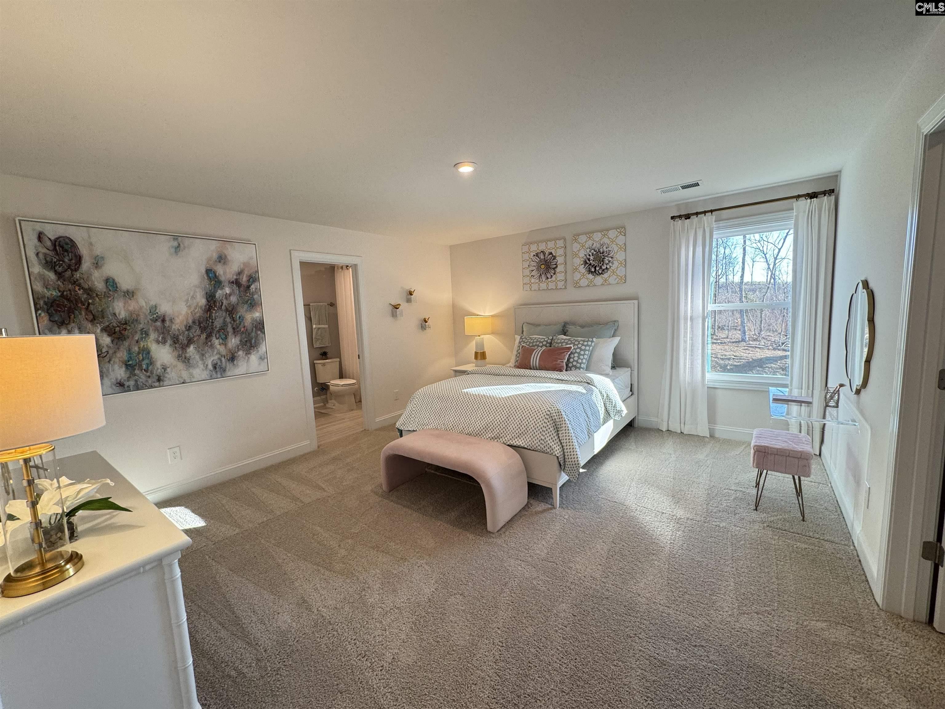 3058 Snail Seed Trail, Lexington, South Carolina image 33
