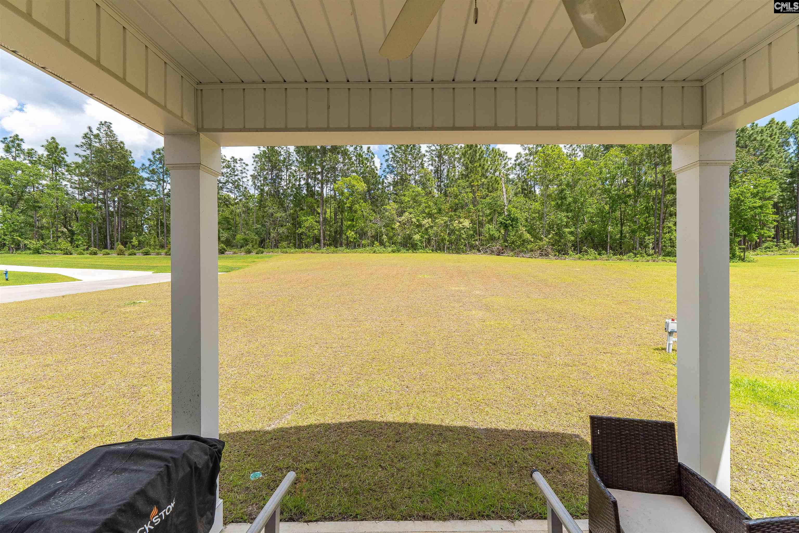 603 Rose Quartz Lane, Lexington, South Carolina image 21