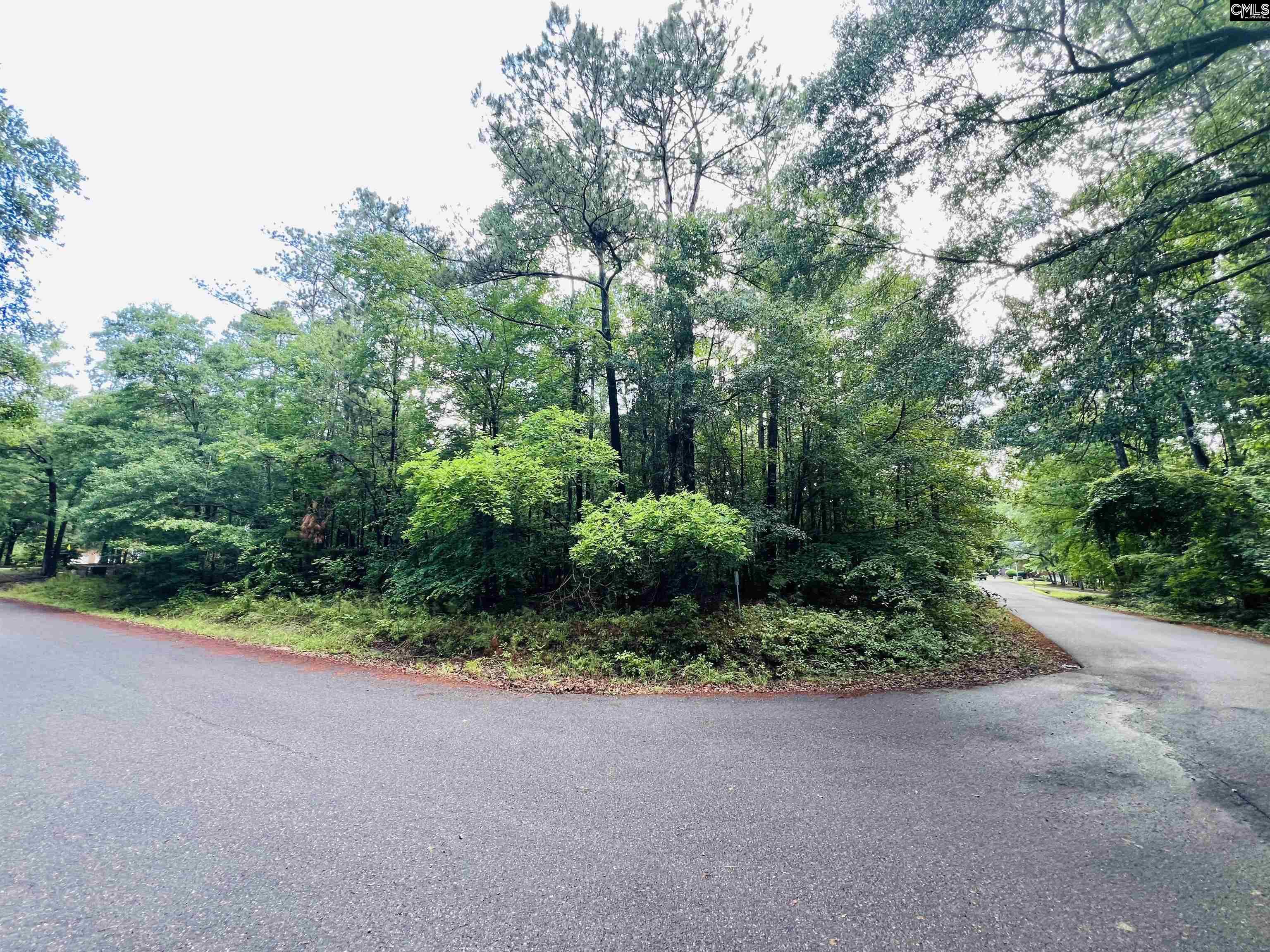 TBD Gin Branch Court, Leesville, South Carolina image 2