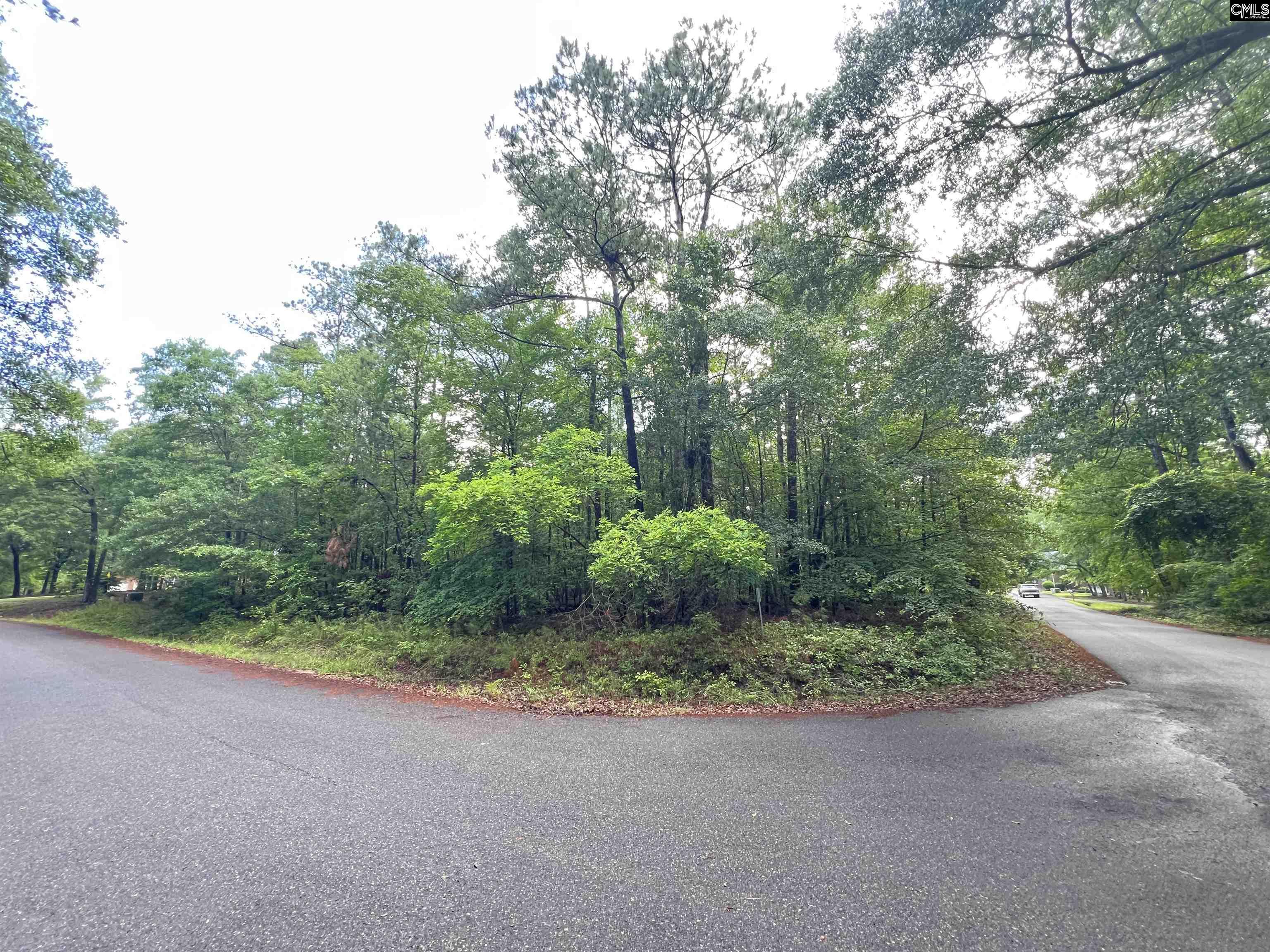 TBD Gin Branch Court, Leesville, South Carolina image 3