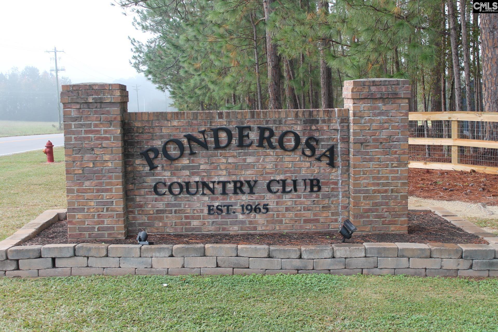 TBD Gin Branch Court, Leesville, South Carolina image 5