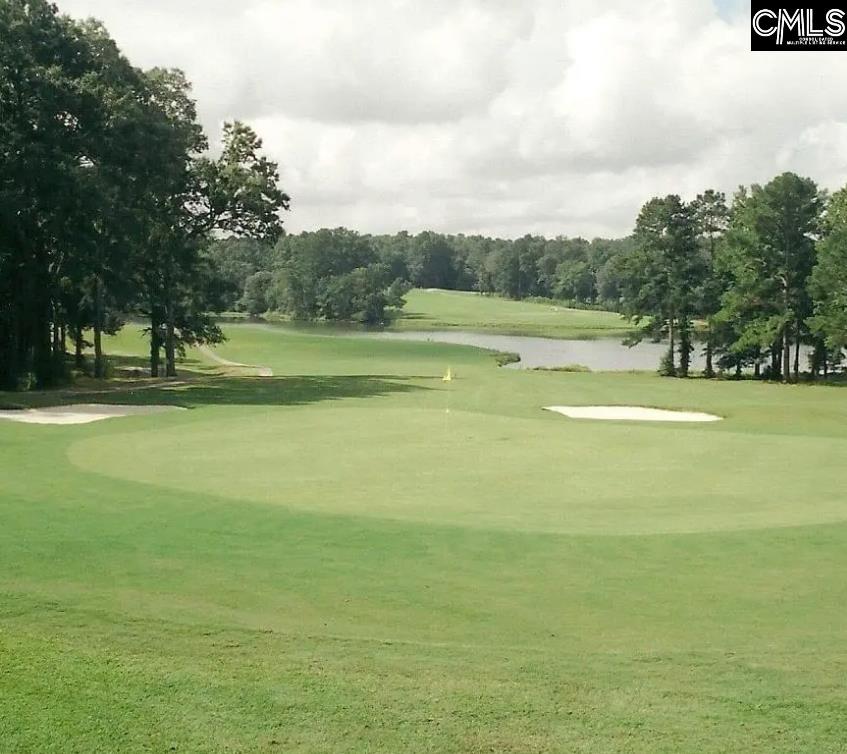TBD Gin Branch Court, Leesville, South Carolina image 7