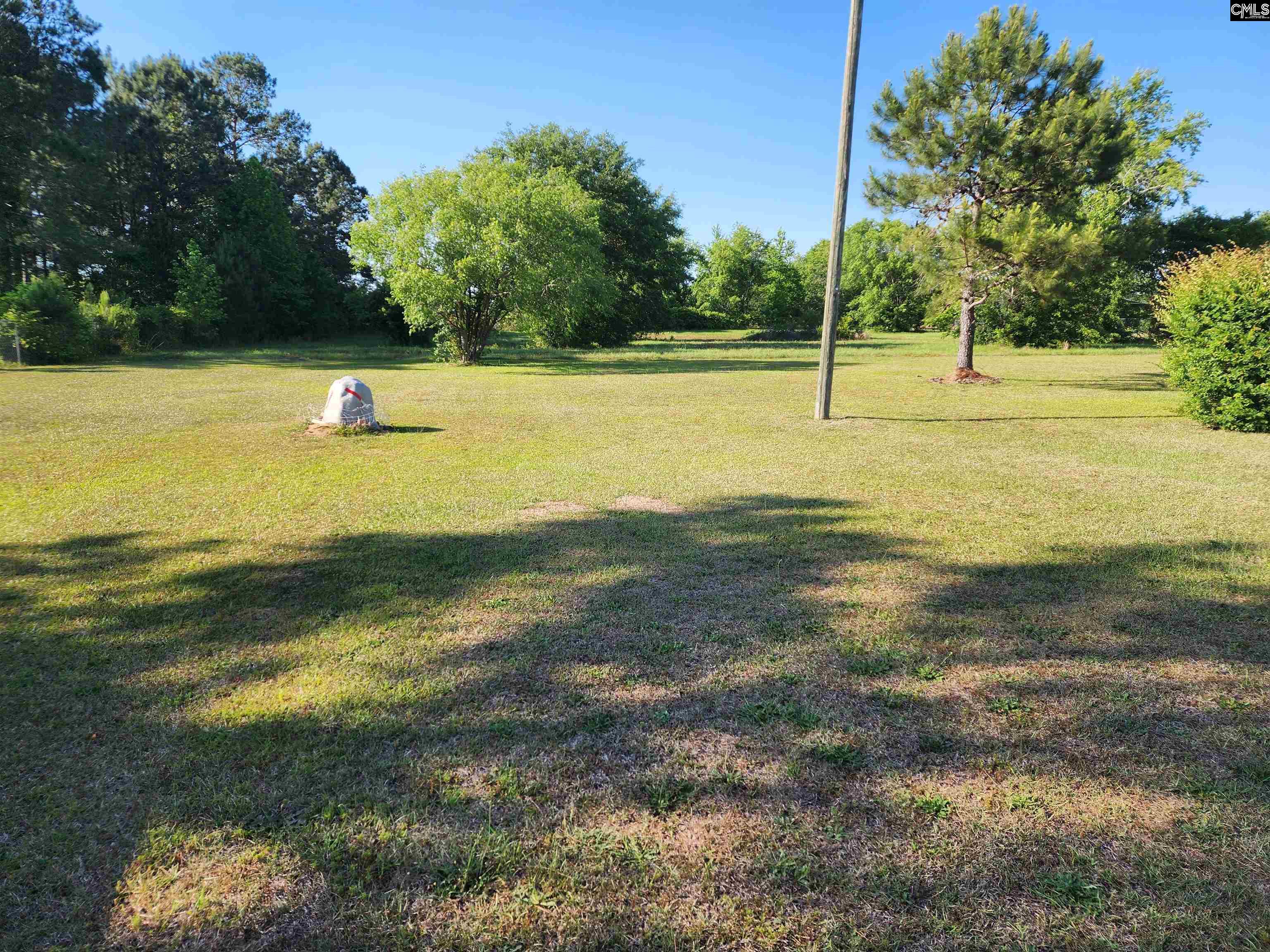 1052 Detwiler Street, Summerton, South Carolina image 41