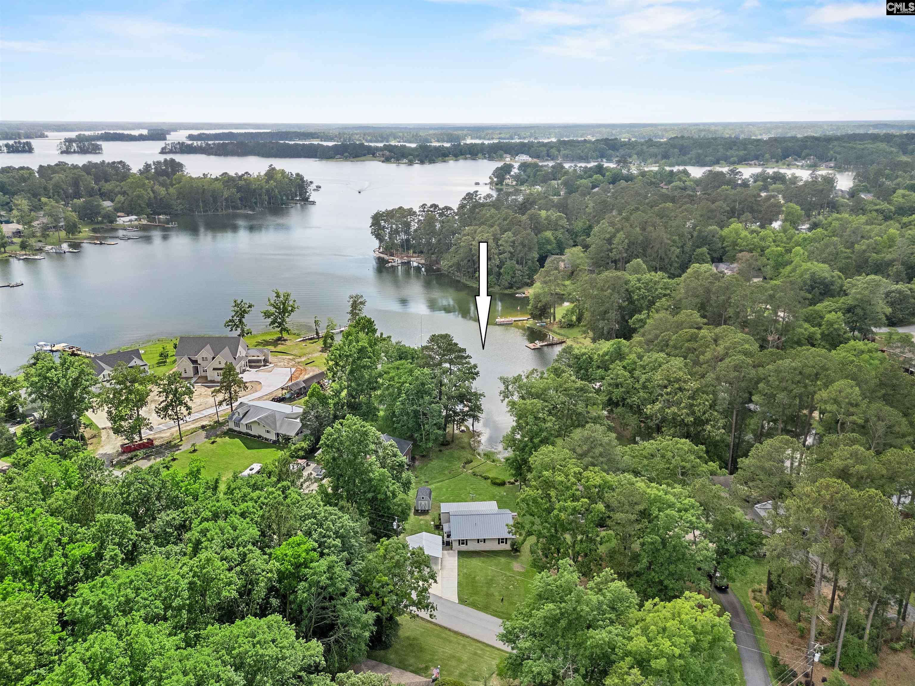 208 Lakeside Drive, Chapin, South Carolina image 2