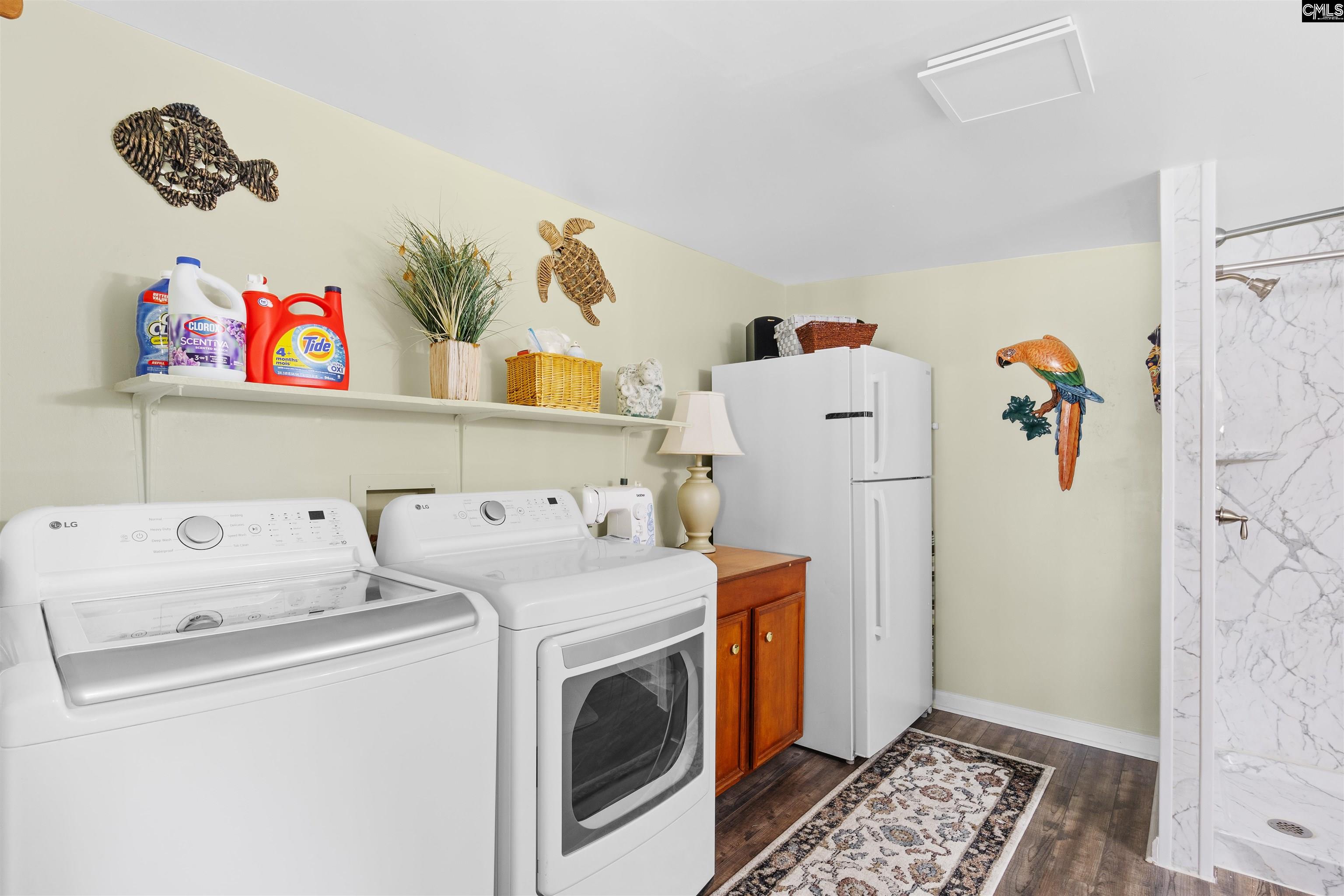 208 Lakeside Drive, Chapin, South Carolina image 20