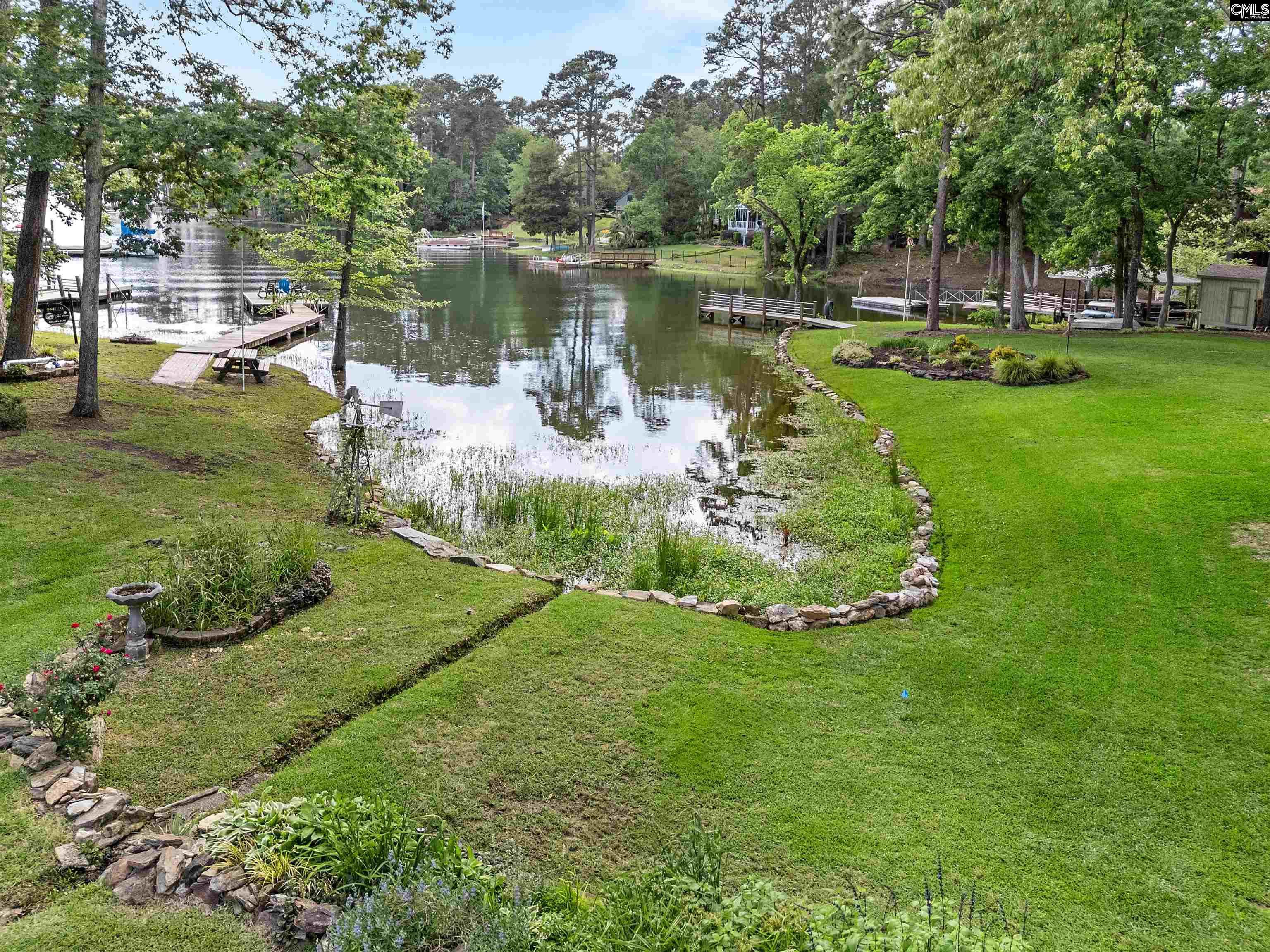 208 Lakeside Drive, Chapin, South Carolina image 8