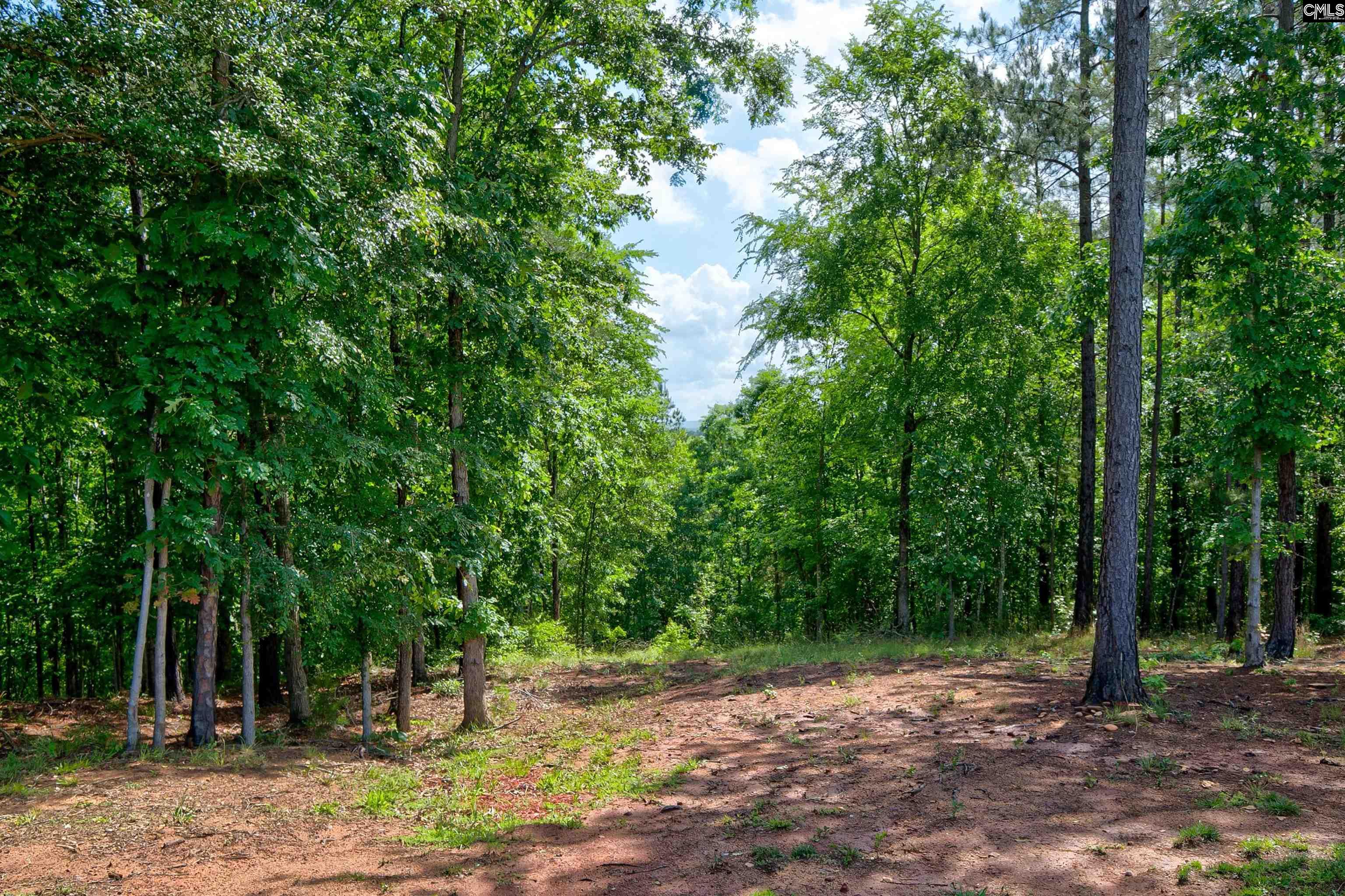 3552 Singleton Creek Road, Liberty Hill, South Carolina image 39