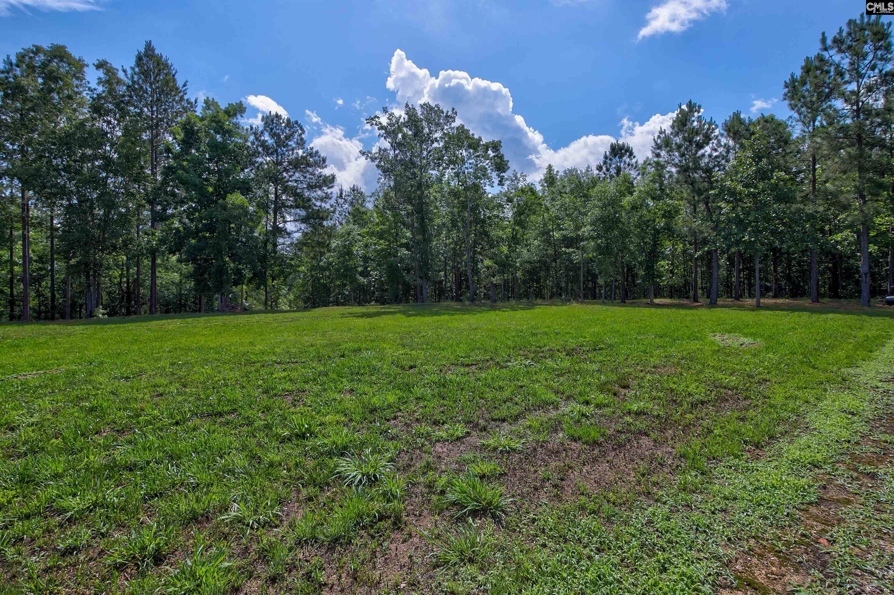3552 Singleton Creek Road, Liberty Hill, South Carolina image 43