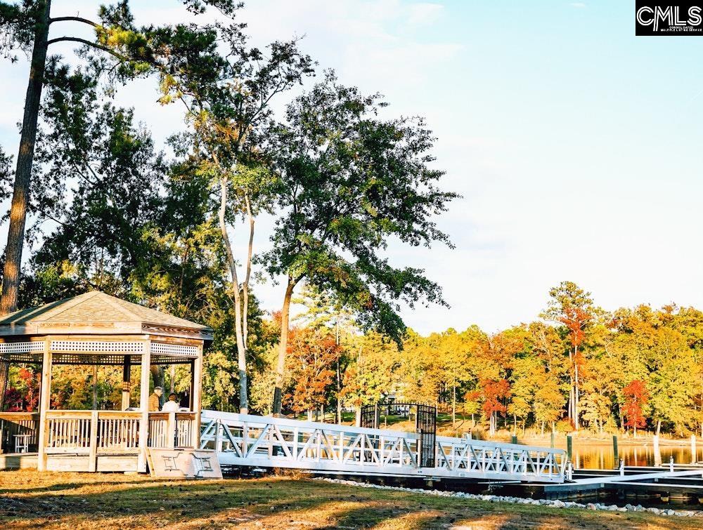 LOT 229 Granny Hill Road, Prosperity, South Carolina image 13
