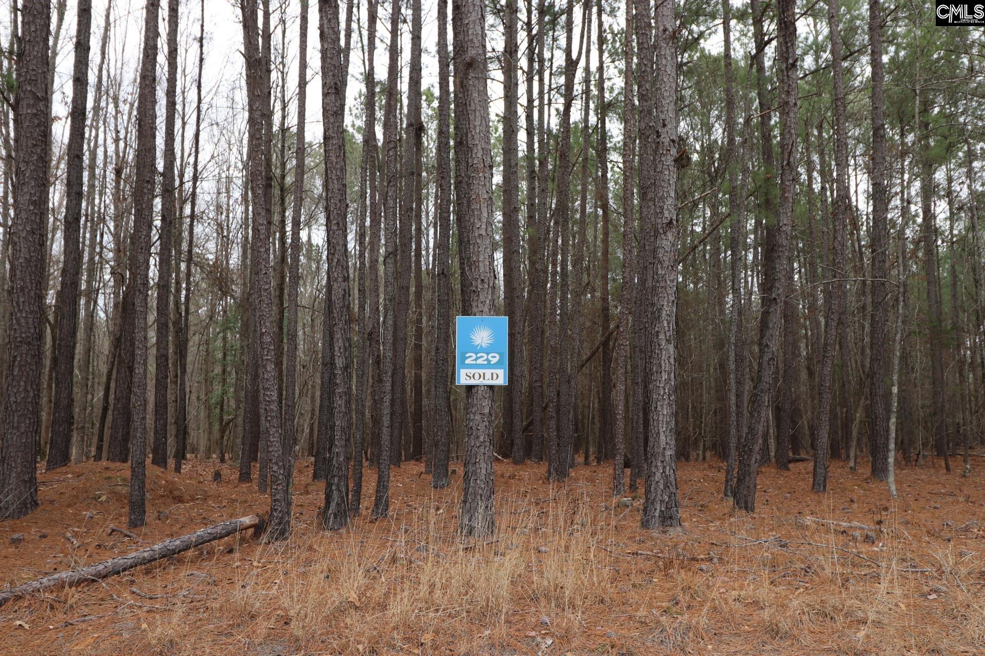LOT 229 Granny Hill Road, Prosperity, South Carolina image 3