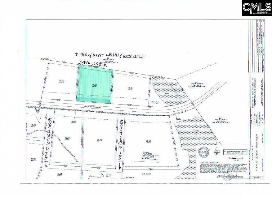 LOT 229 Granny Hill Road, Prosperity, South Carolina image 4