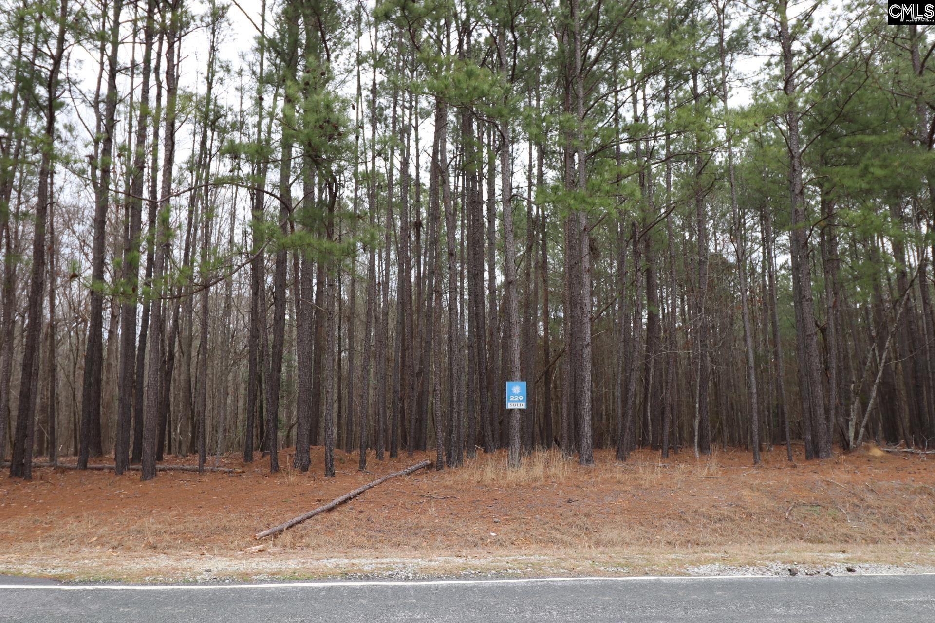 LOT 229 Granny Hill Road, Prosperity, South Carolina image 38