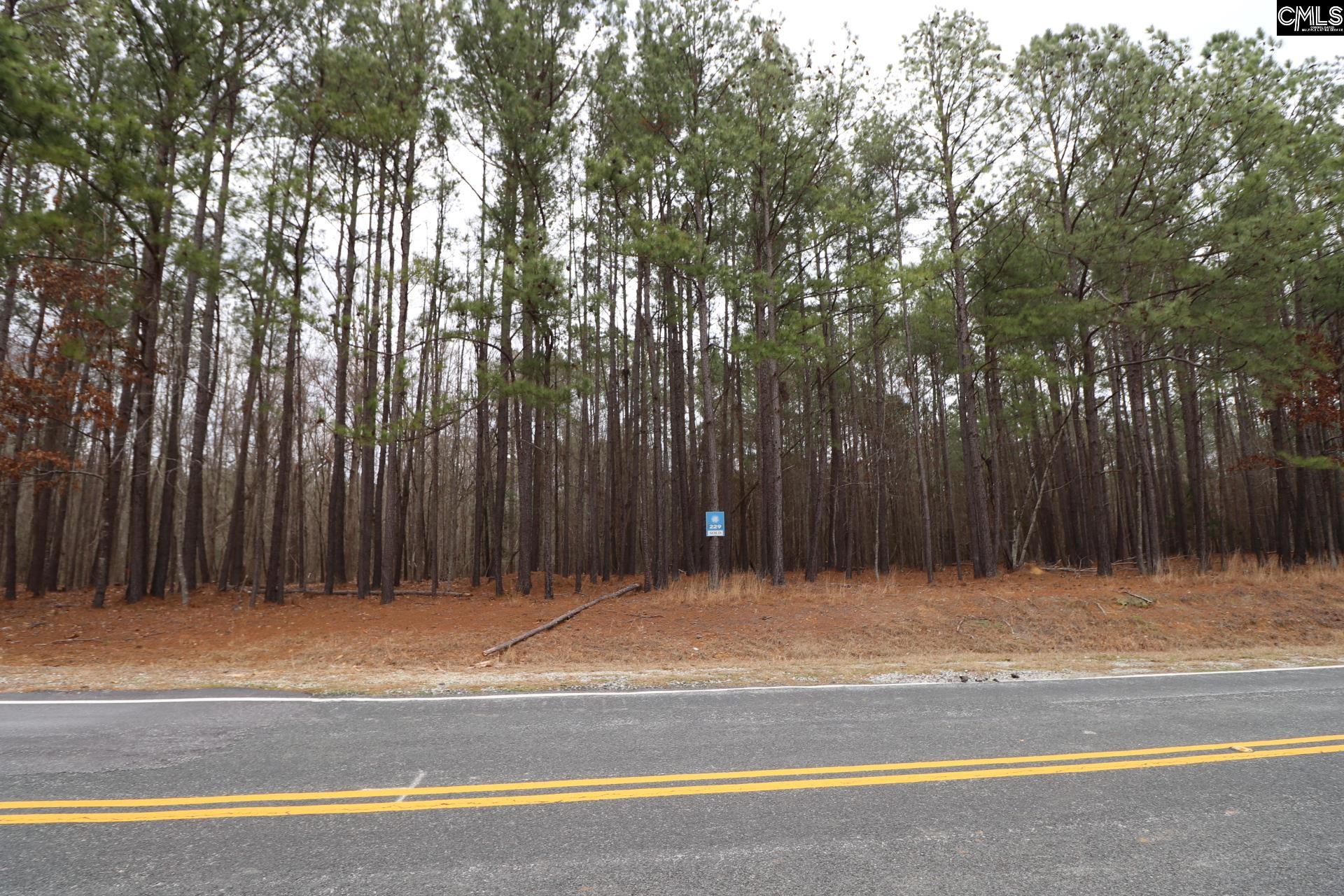 LOT 229 Granny Hill Road, Prosperity, South Carolina image 39