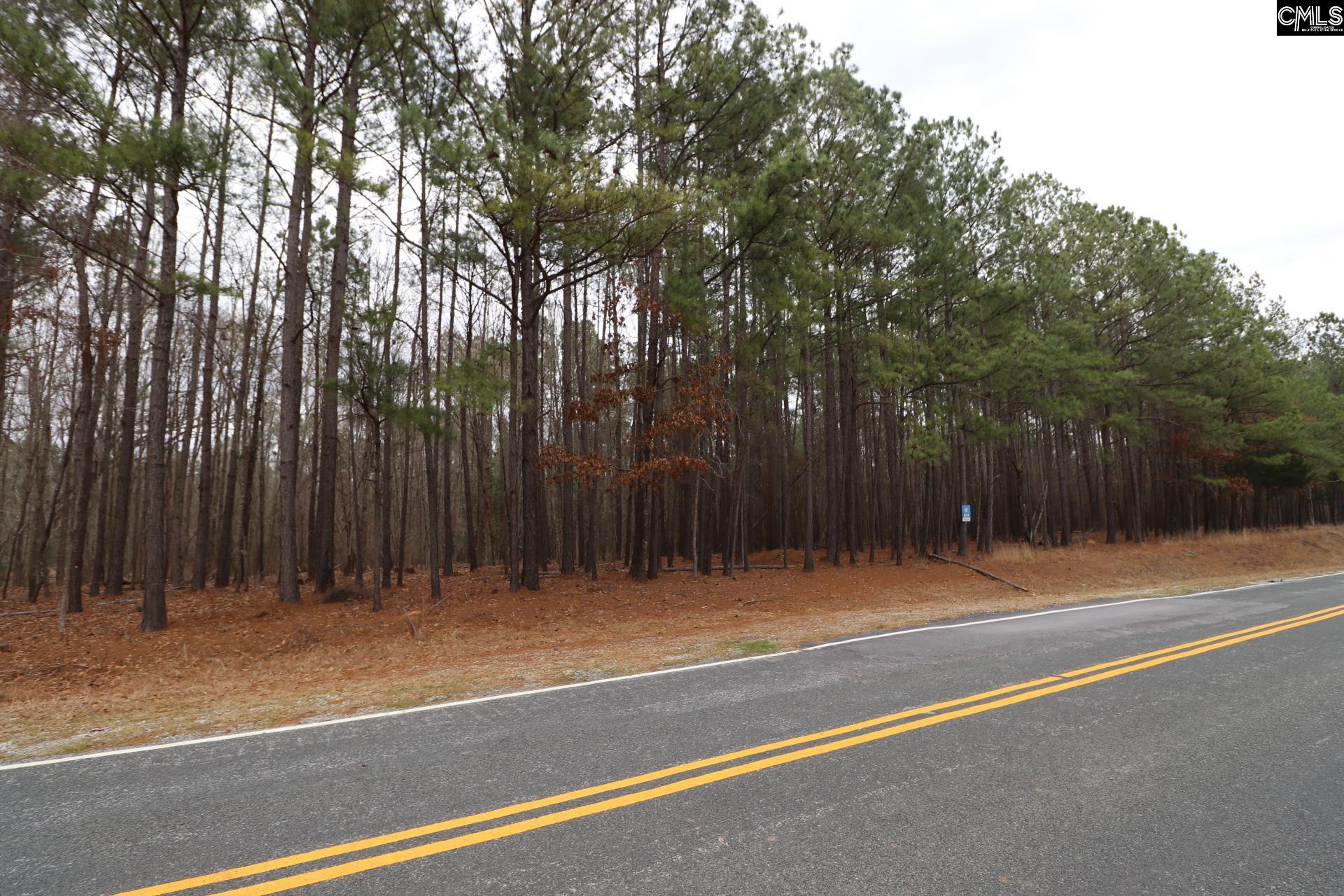 LOT 229 Granny Hill Road, Prosperity, South Carolina image 40