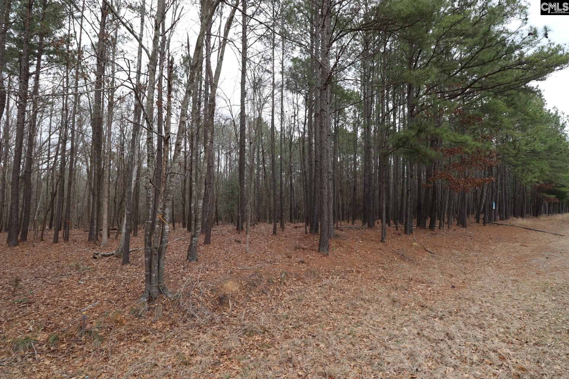 LOT 229 Granny Hill Road, Prosperity, South Carolina image 41