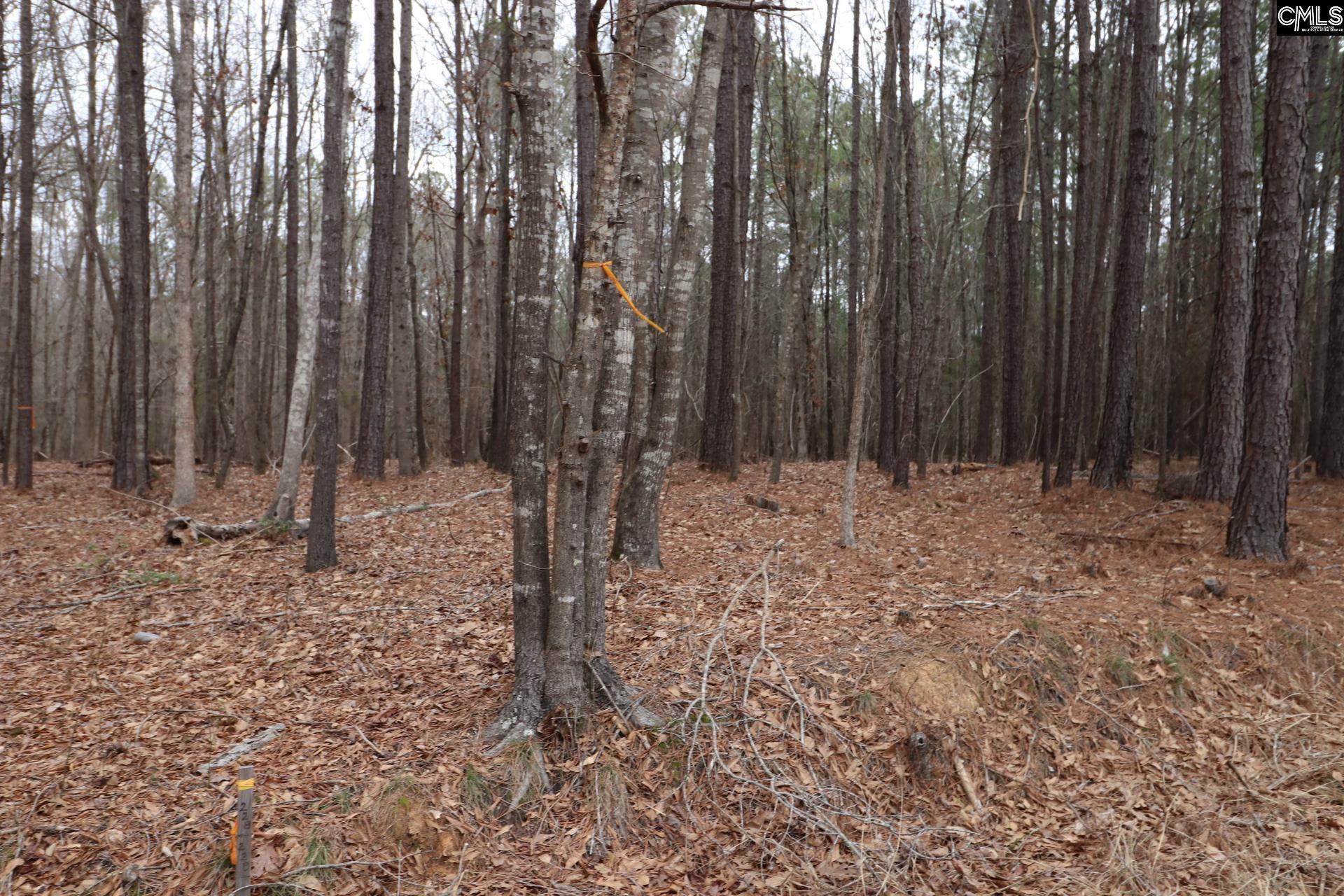 LOT 229 Granny Hill Road, Prosperity, South Carolina image 42