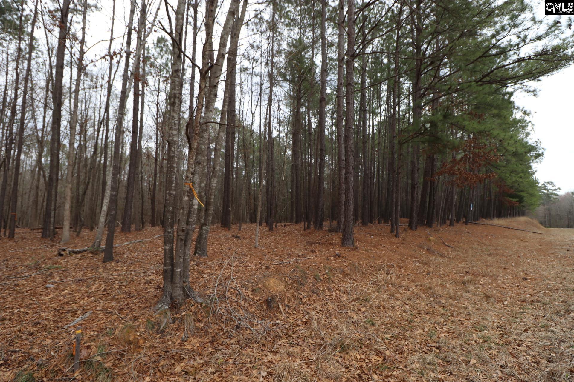 LOT 229 Granny Hill Road, Prosperity, South Carolina image 43