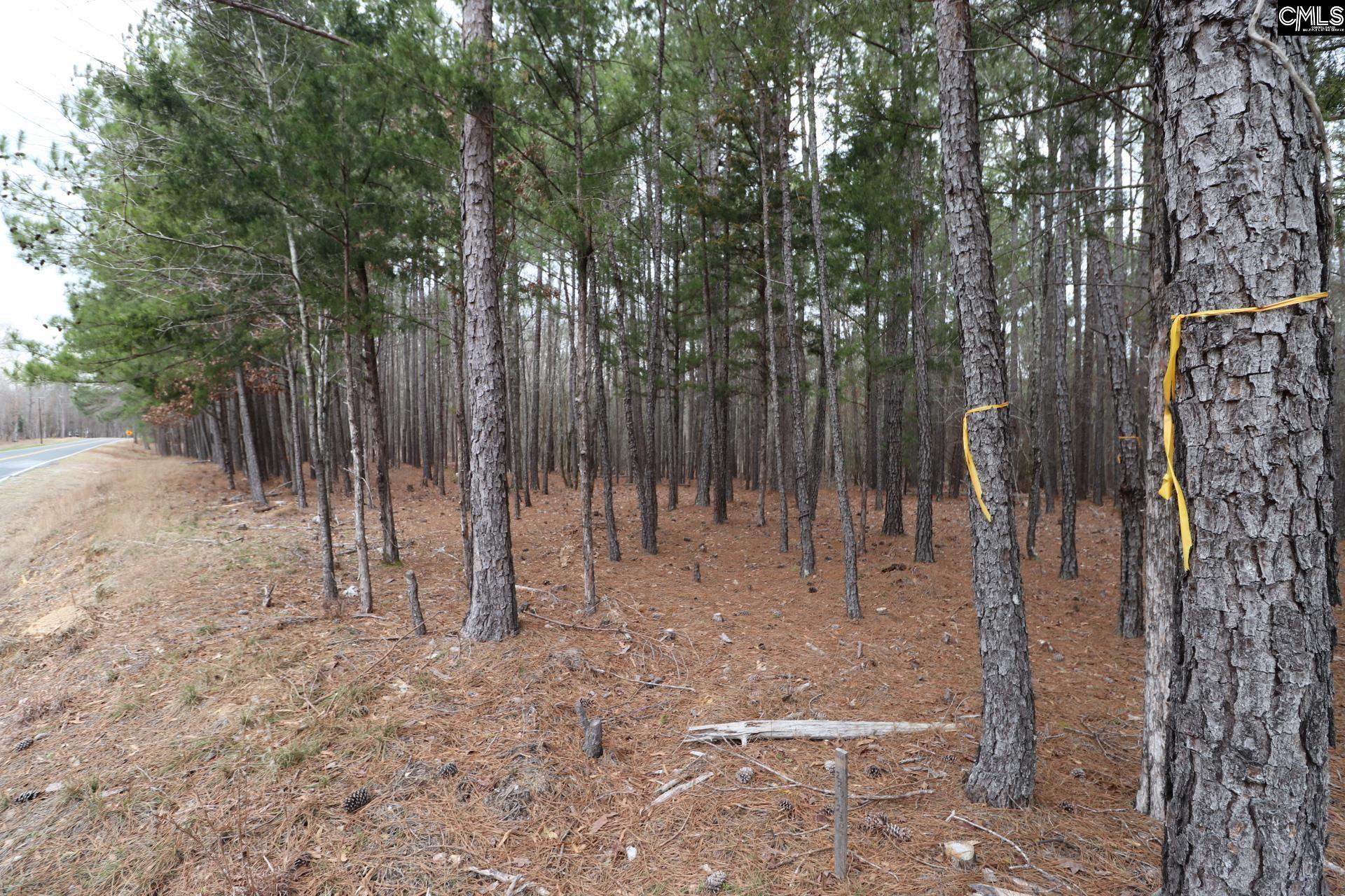 LOT 229 Granny Hill Road, Prosperity, South Carolina image 44