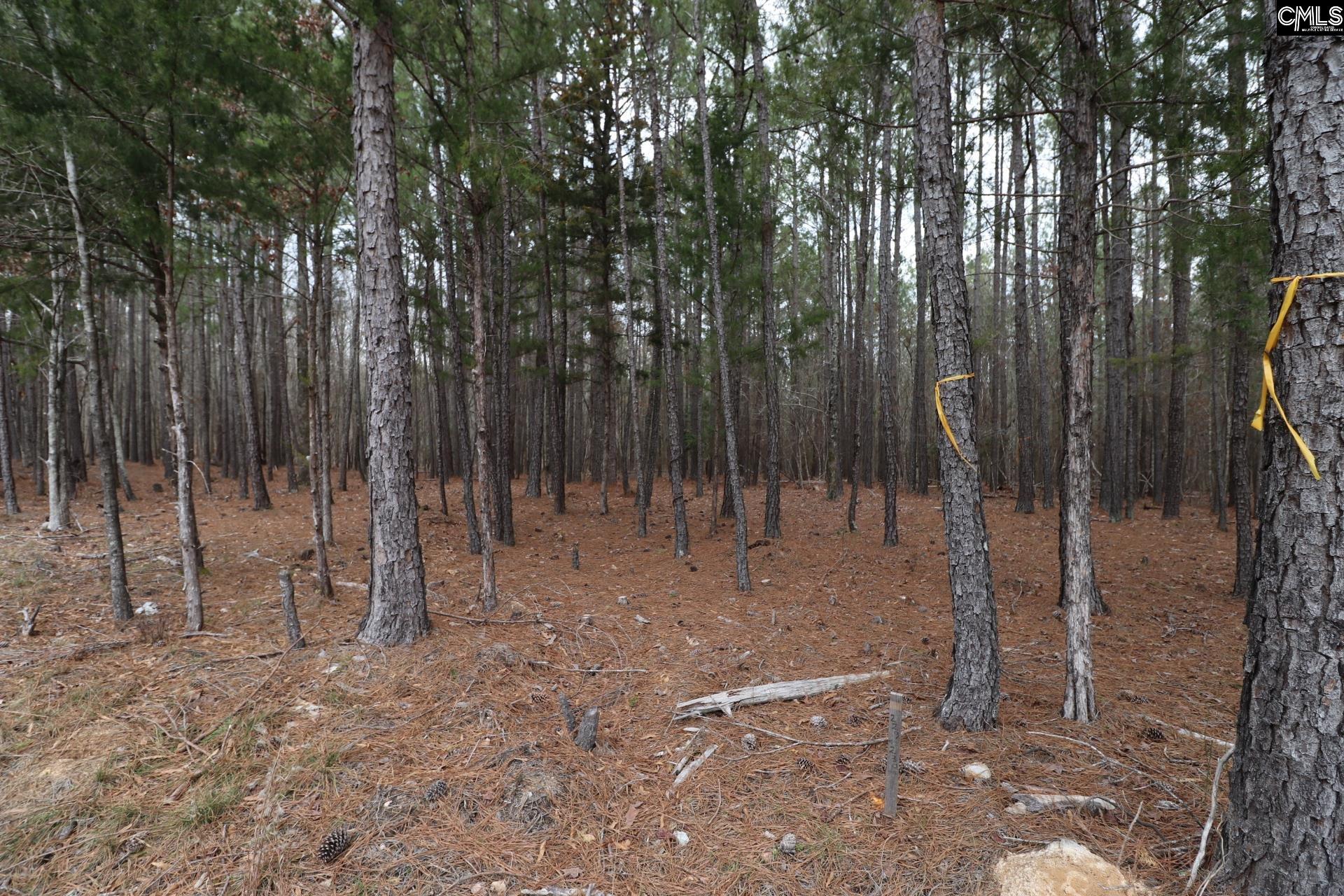 LOT 229 Granny Hill Road, Prosperity, South Carolina image 45