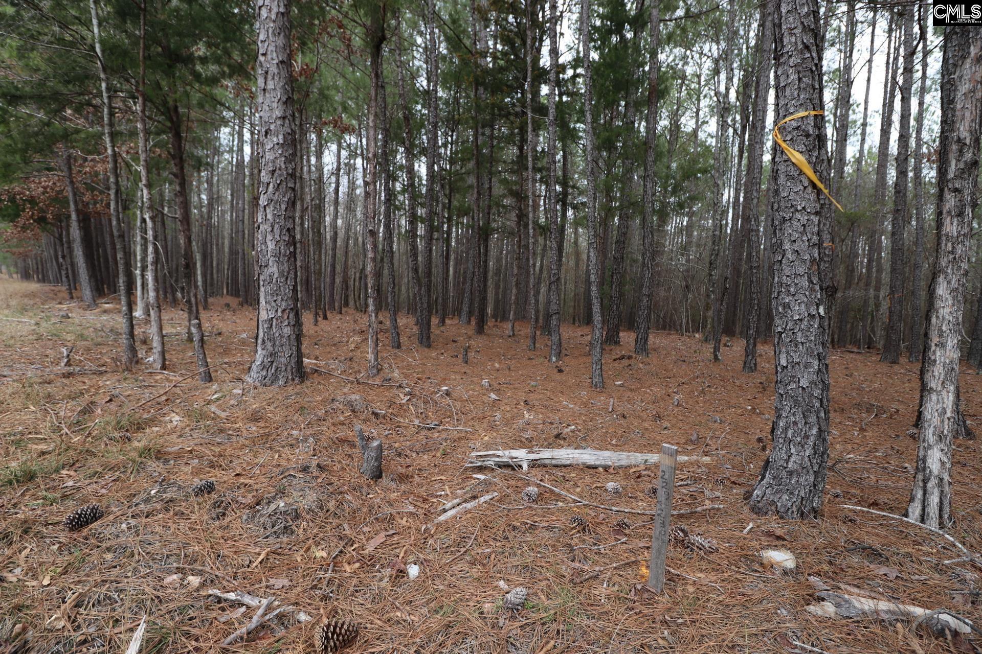 LOT 229 Granny Hill Road, Prosperity, South Carolina image 46