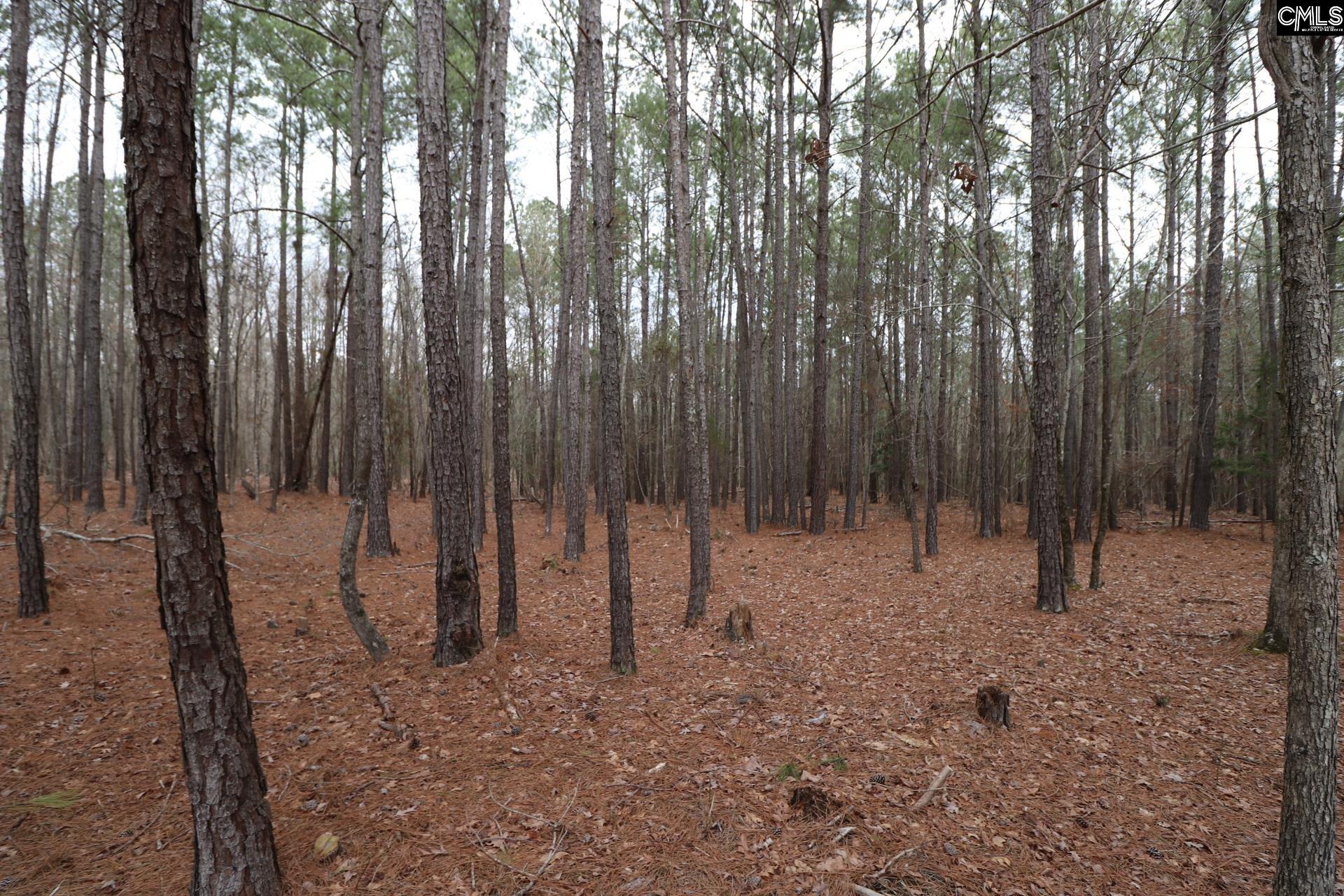 LOT 229 Granny Hill Road, Prosperity, South Carolina image 48