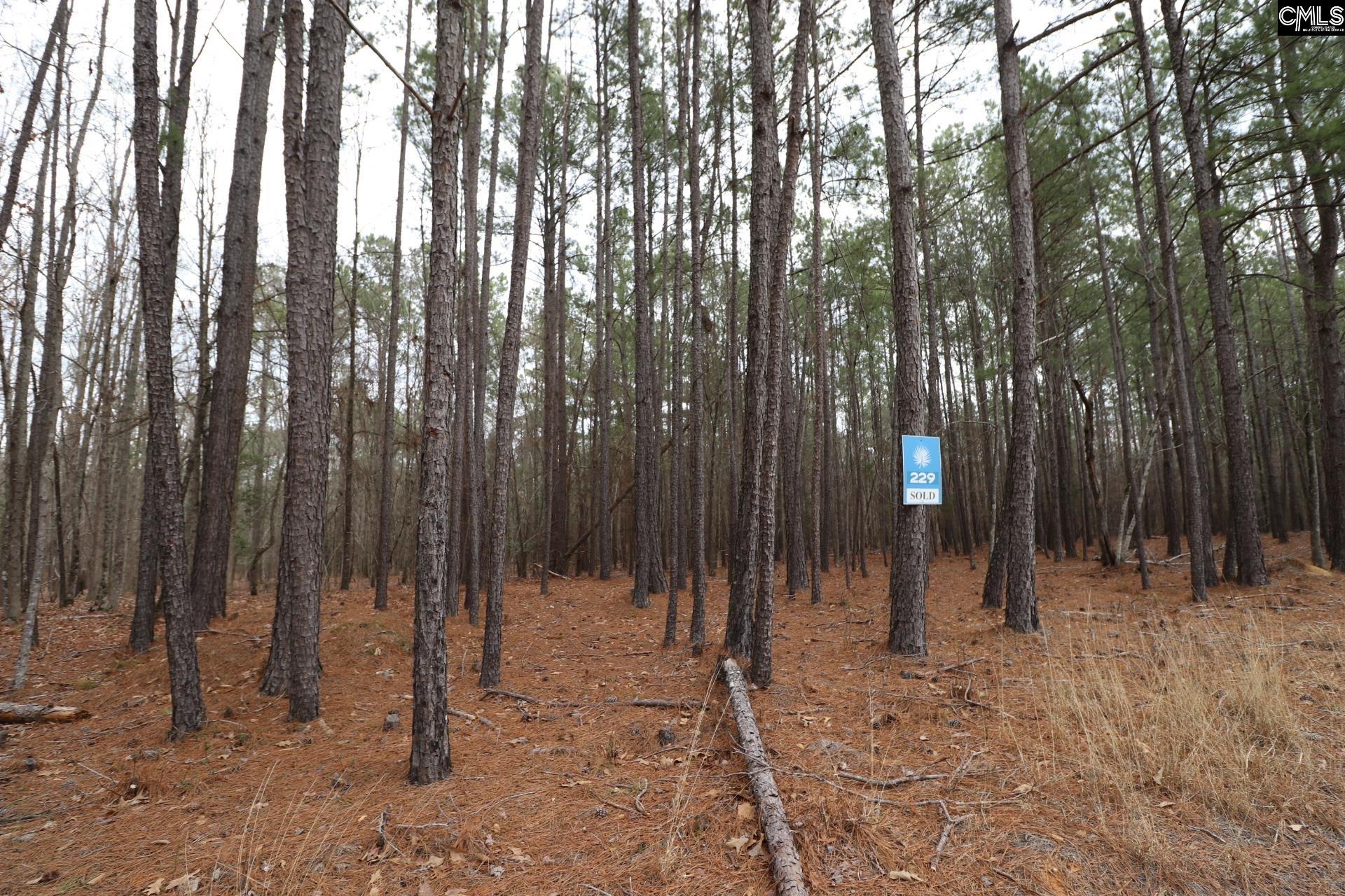 LOT 229 Granny Hill Road, Prosperity, South Carolina image 50