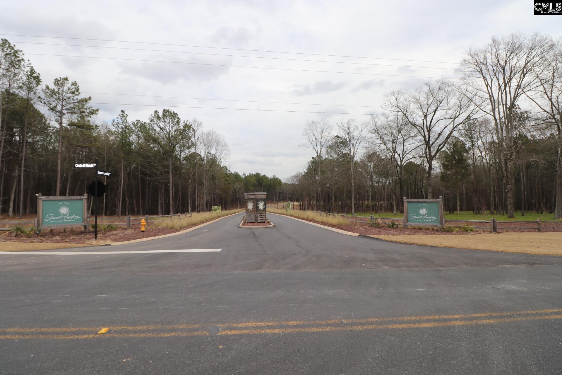 LOT 229 Granny Hill Road, Prosperity, South Carolina image 9
