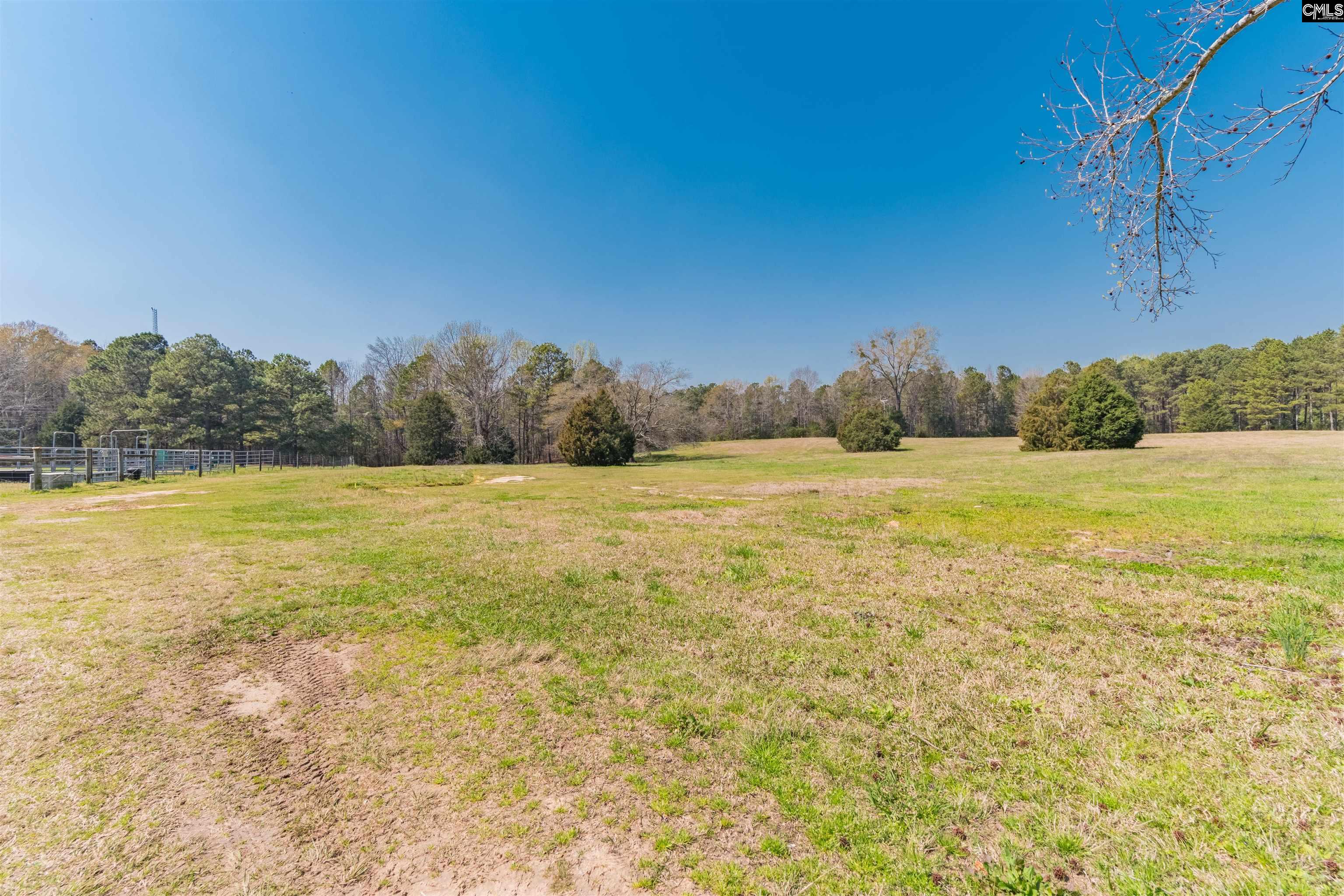 Counts Ferry Road Lot 5, Lexington, South Carolina image 8