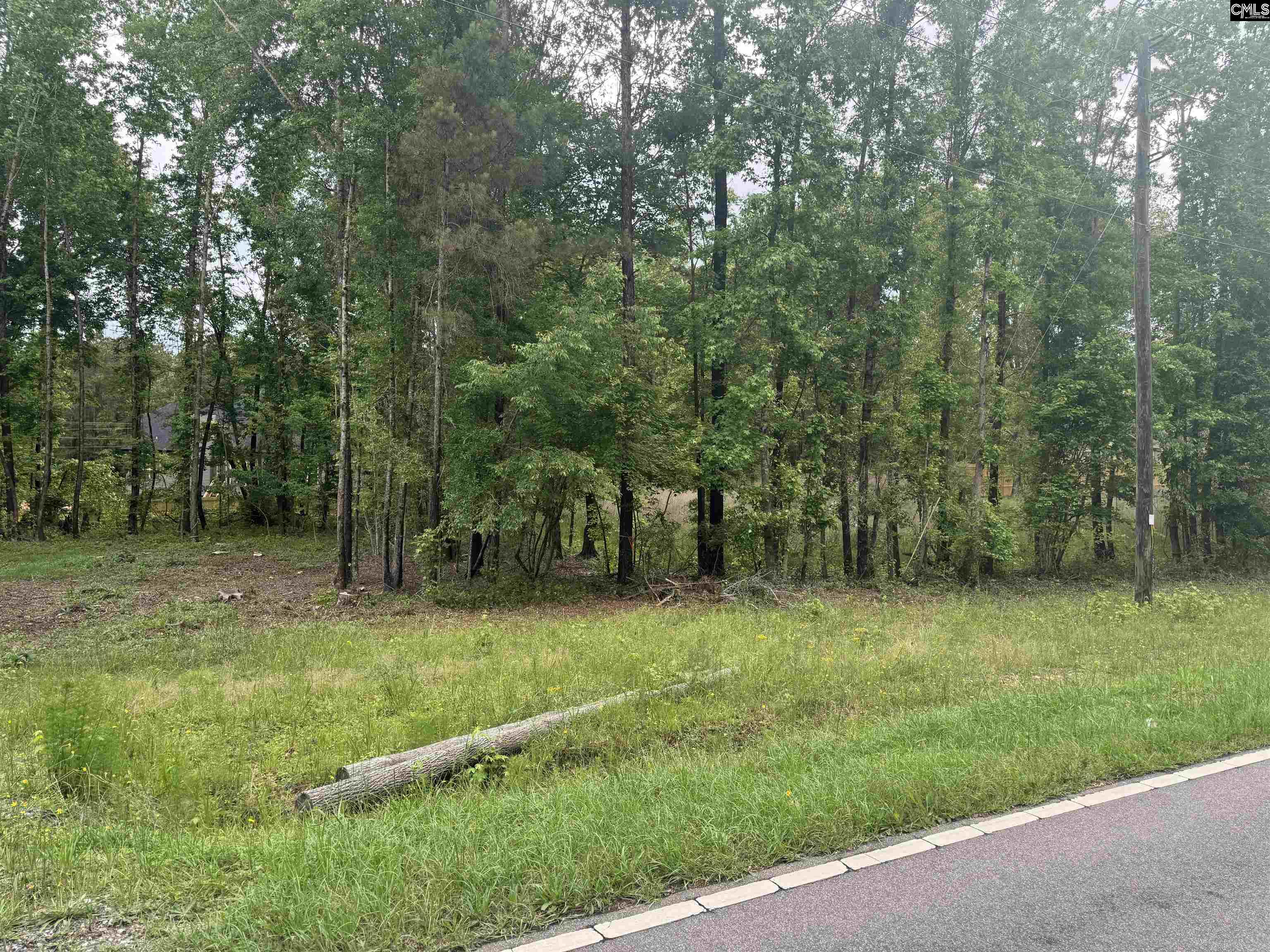 Grover Wilson Rd/ Dinkins Pl, Ridgeway, South Carolina image 2