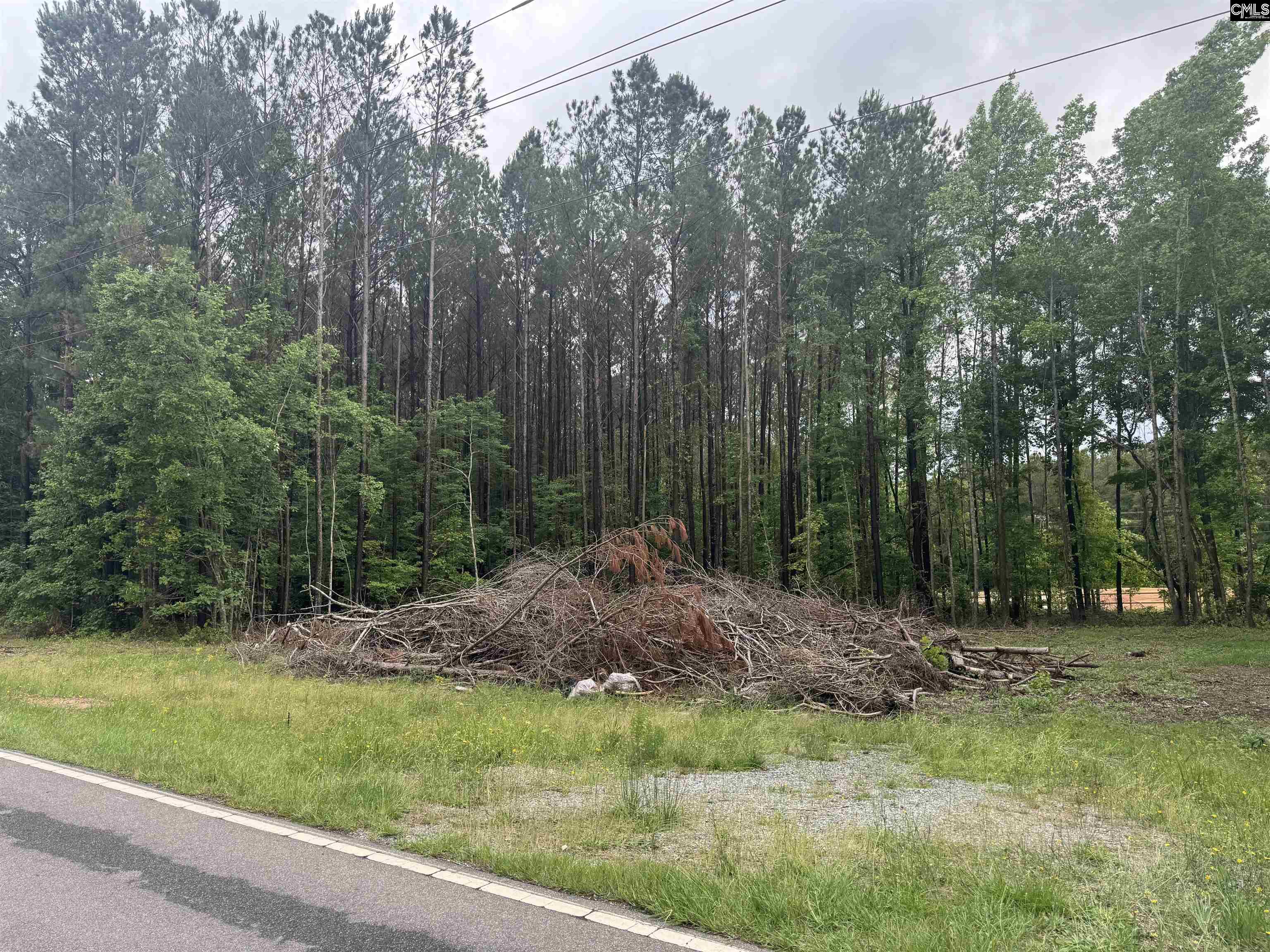 Grover Wilson Rd/ Dinkins Pl, Ridgeway, South Carolina image 3